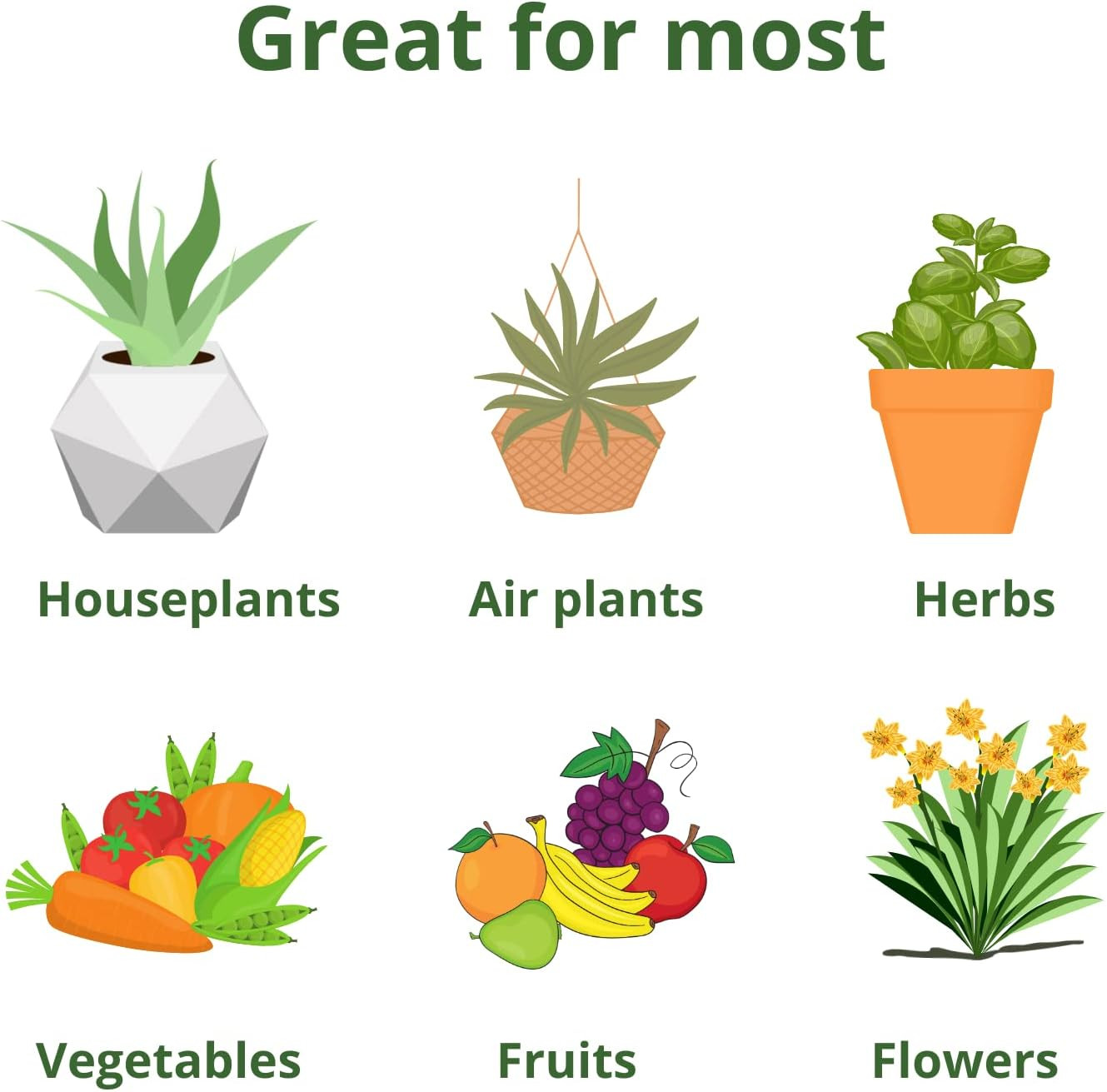 All Purpose Water Soluble 20-20-20 Fertilizer Balanced NPK Plant Food with Micro