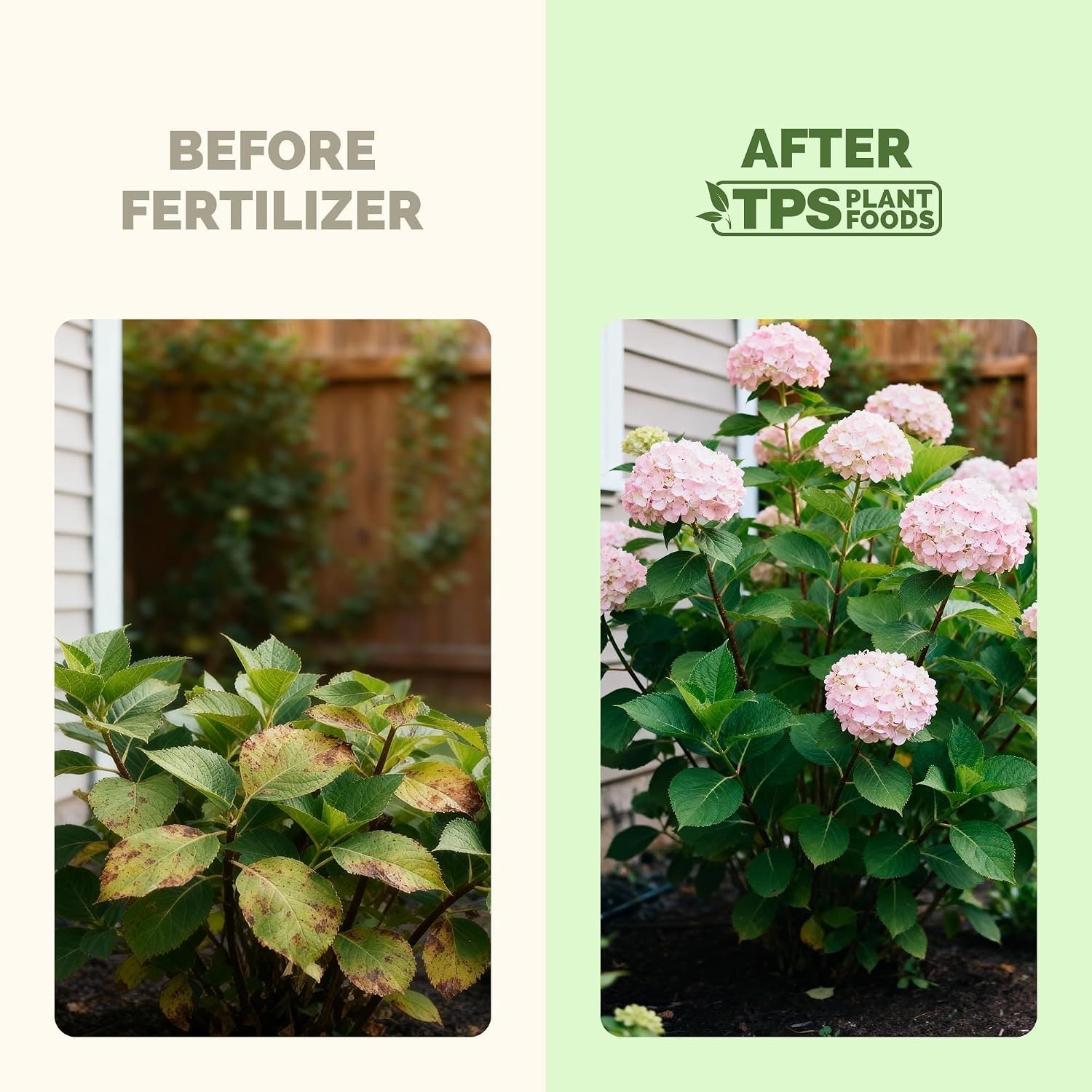 Fast-Absorbing Hydrangea Fertilizer – 8 oz Liquid for Bigger, Colorful Blooms