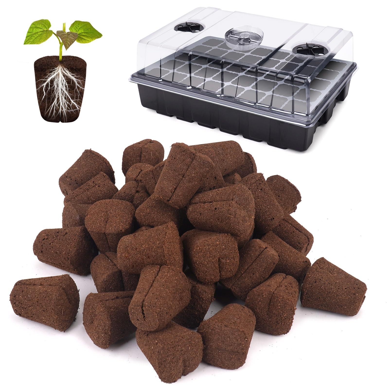 40 Pcs Grow Sponges with Tray, Starter Plugs for Cuttings, Great for Soil, Tr…