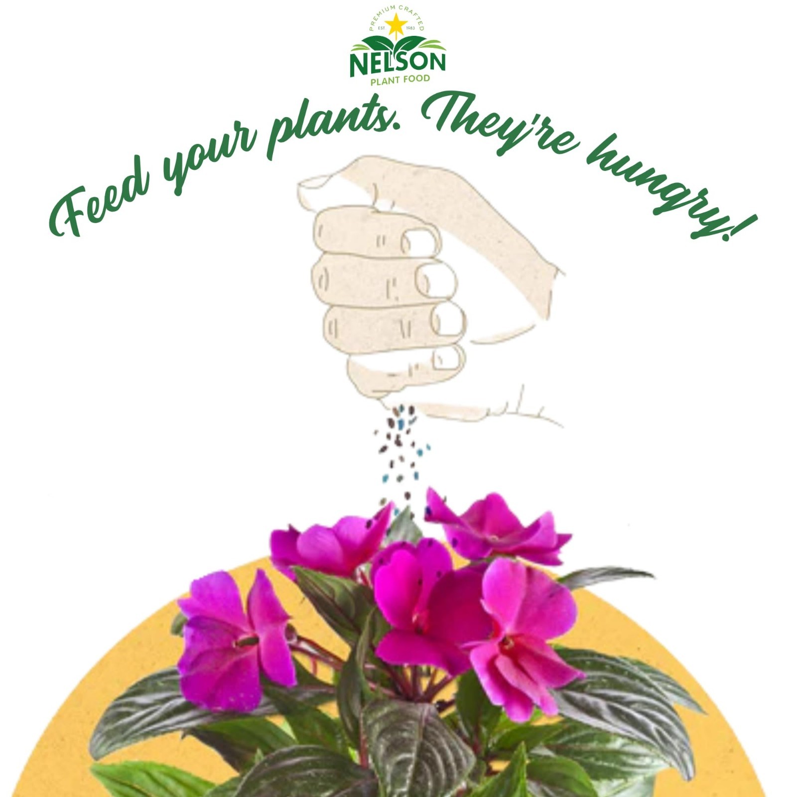 Plumeria Plant & Flowering Tropical Fertilizer 5-30-5 for Ferns, Orchids, Lilies