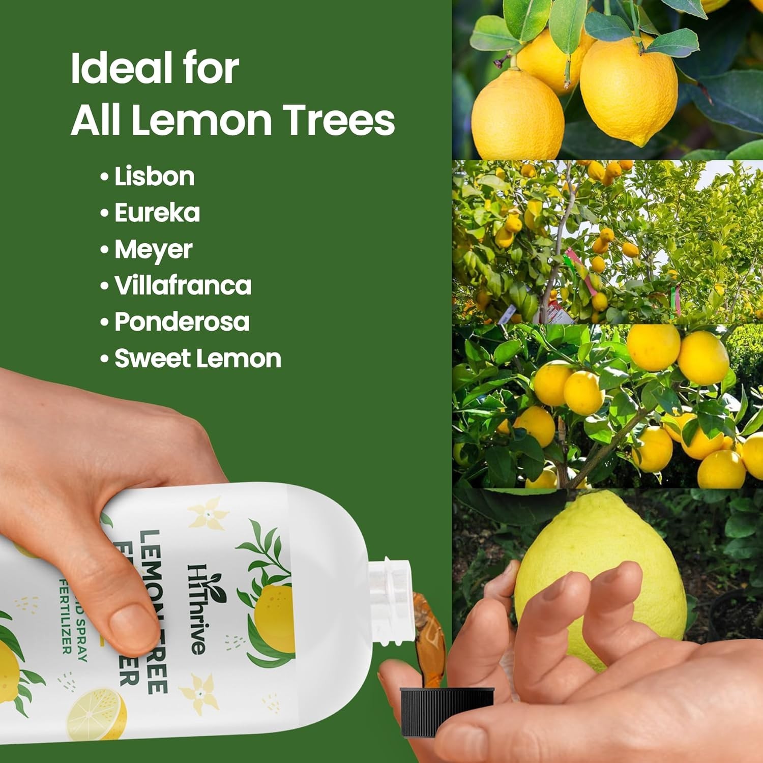 32oz Lemon Tree Fertilizer – Makes 64 Gallons for Lush Growth & Juicy Lemons