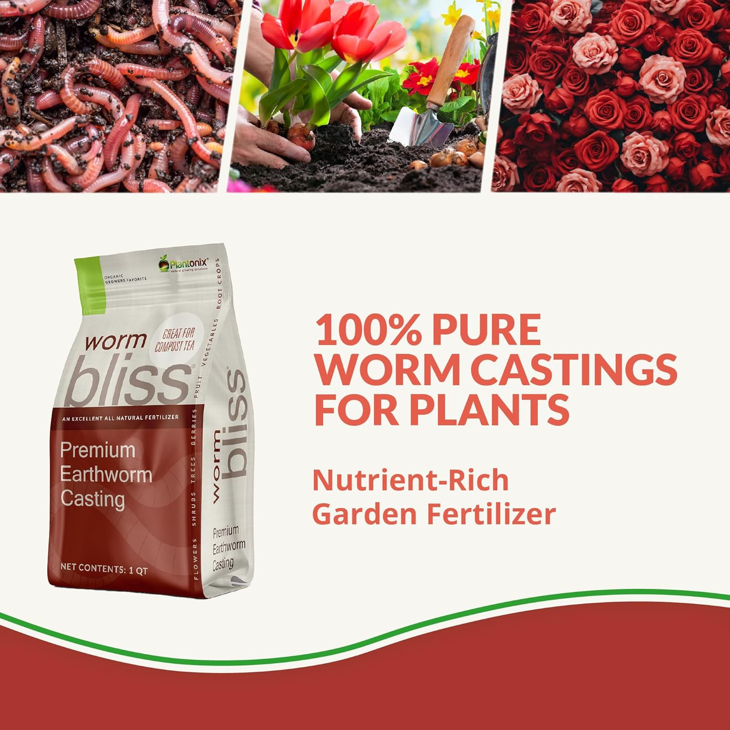Organic Worm Castings & Biochar Soil Amendment Fertilizer Plants 1 Qt