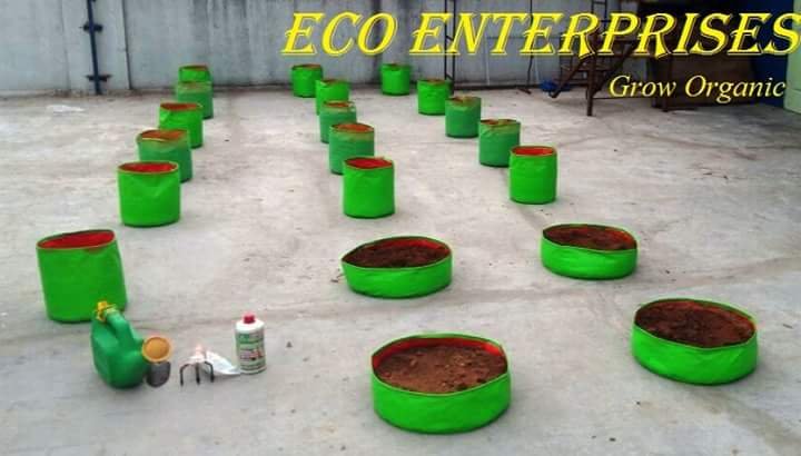 Eco Enterprises Grow or Bloom Nutrients
