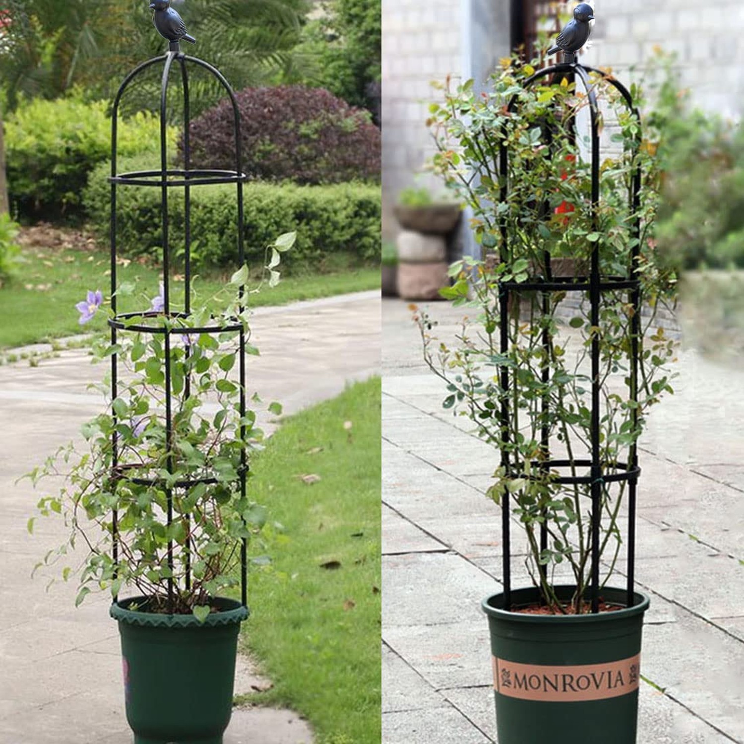 Garden Trellis for Climbing Plants Outdoor, Metal Plant Trellis with PE Coate…
