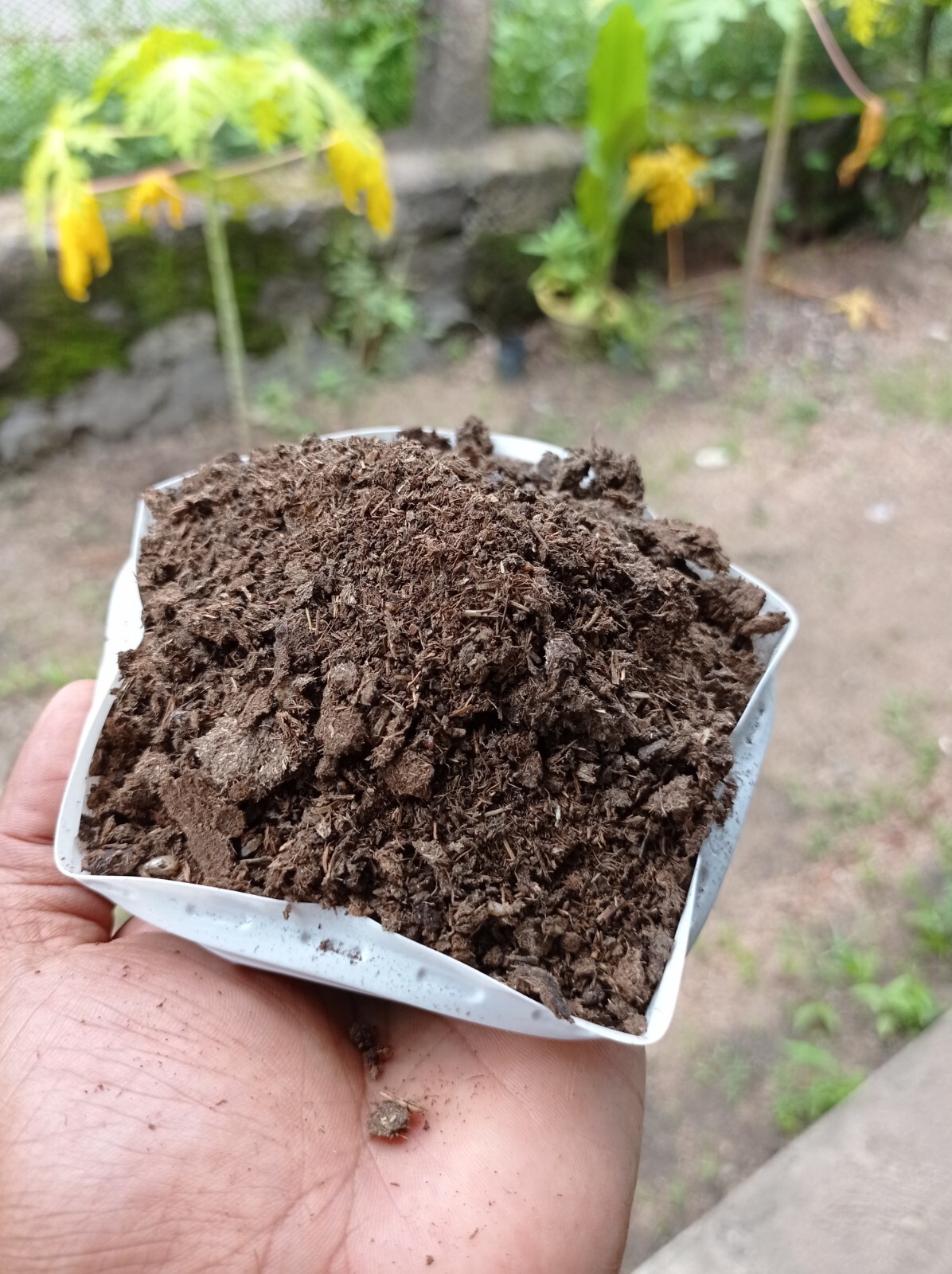 Ceylon Cow Manure 100g Natural Organic Fertilizer Natural Dried Plant Growth