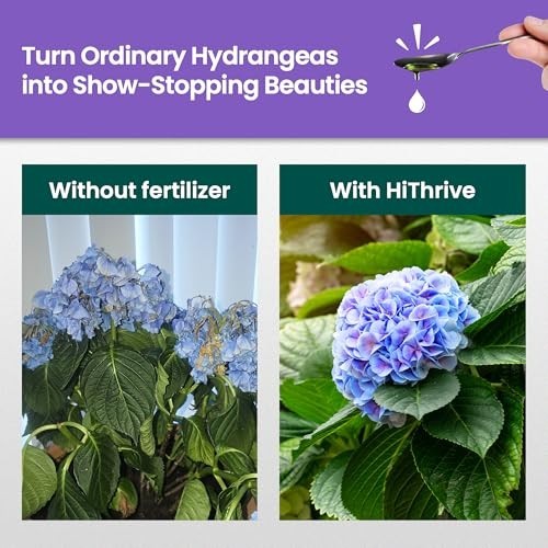 16oz Hydrangea Fertilizer – Liquid Plant Food for Lush Growth & Vibrant Blooms