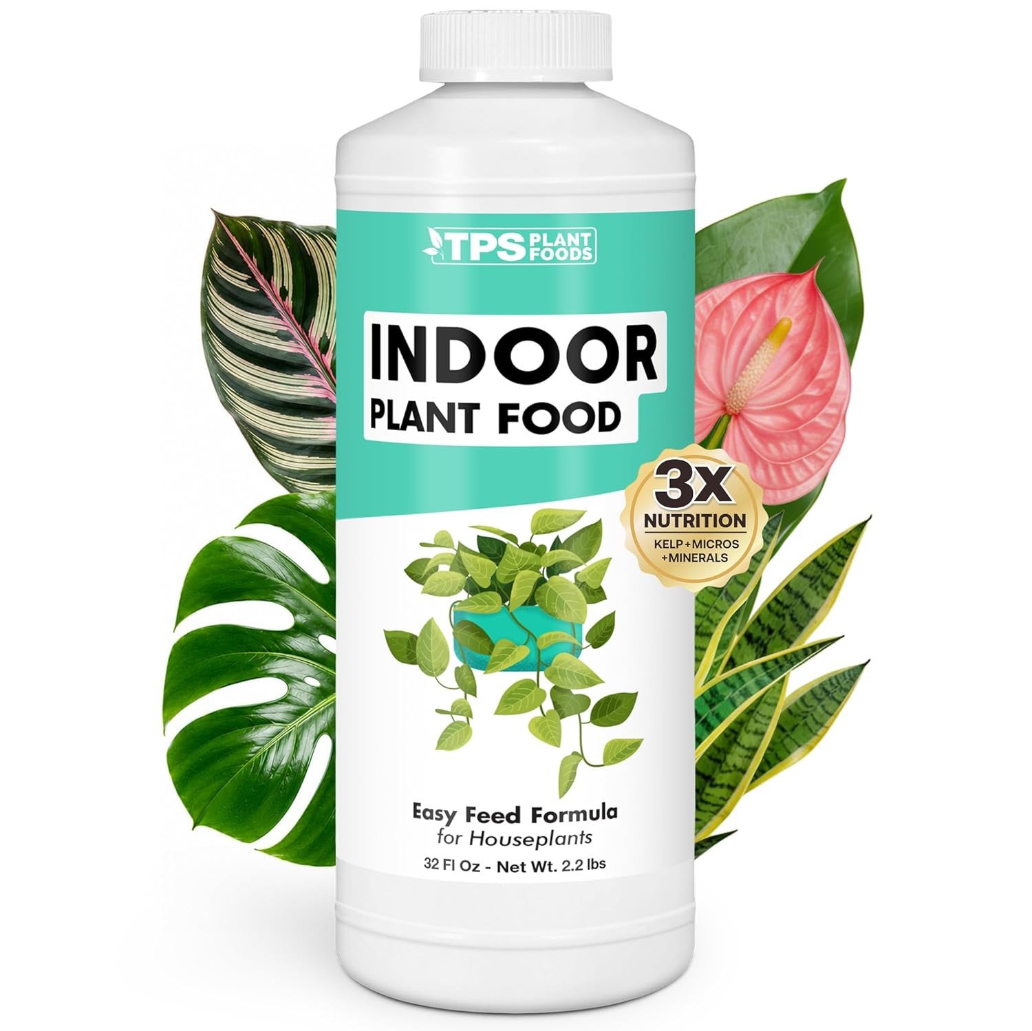Indoor Plant Food – Liquid Fertilizer for Houseplants, New Growth, Greener Leave