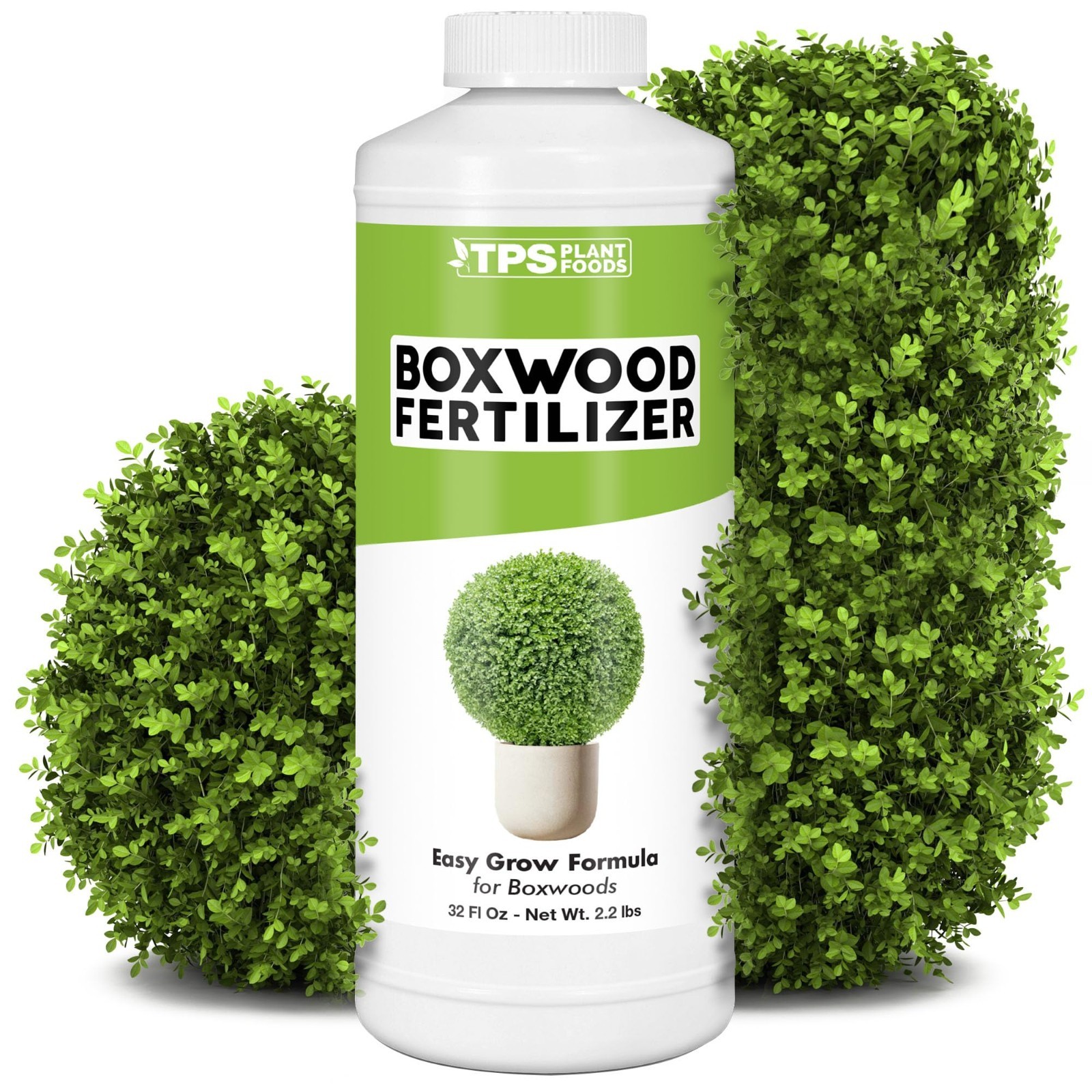 Liquid Boxwood Fertilizer – Plant Food for Lush Growth, Green Foliage & Strong R
