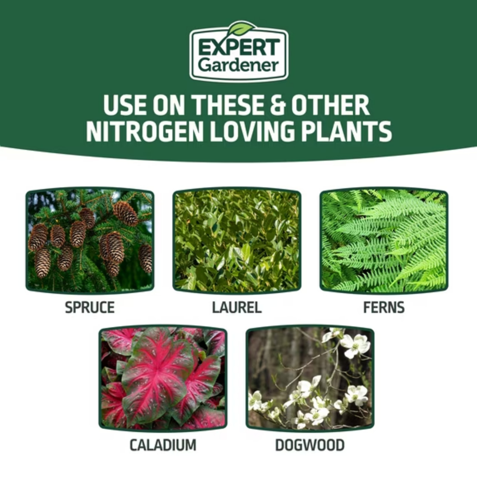 Expert Gardener Evergreen Tree Shrub Fertilizer 4 lb (Pack of 2) 16-4-8 Food