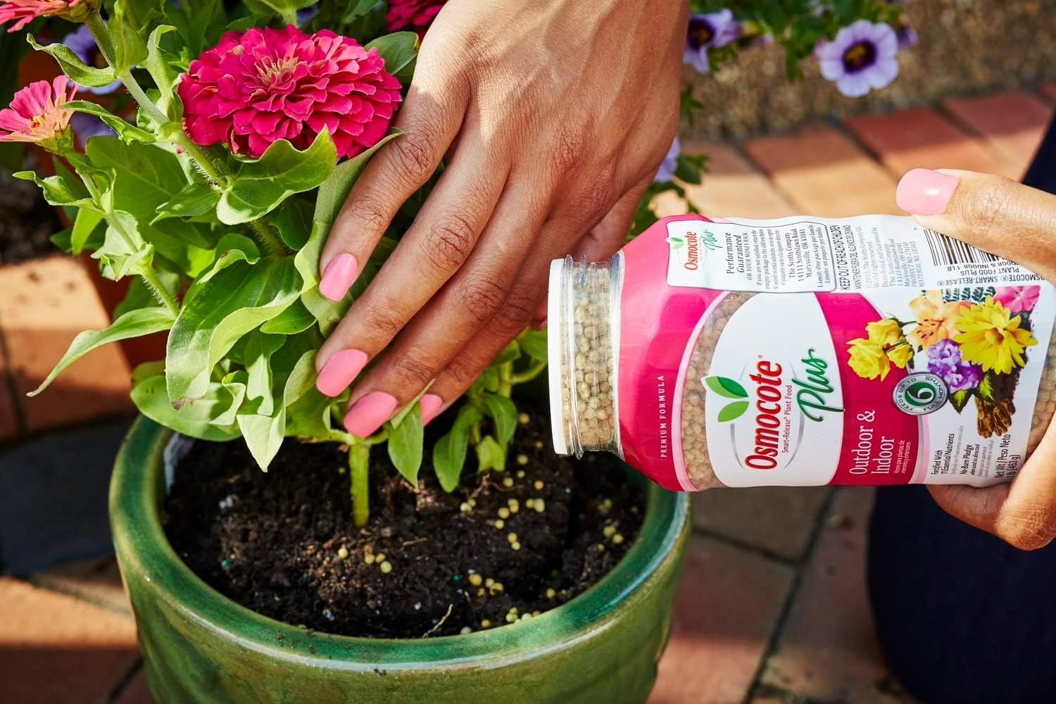 1 lb Smart-Release Fertilizer – Continuous Nutrition for Indoor & Outdoor Plants