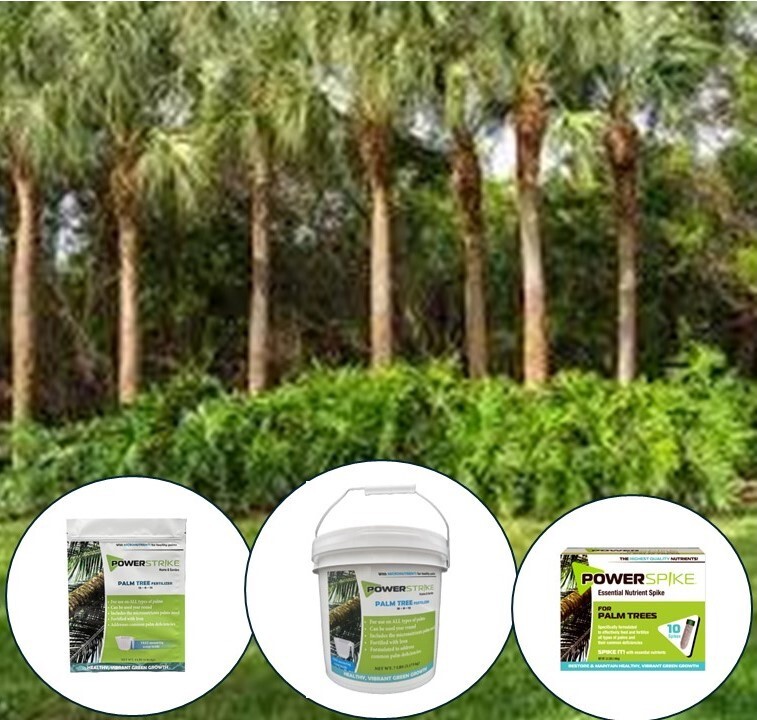 Power Spike palm tree fertilizer spikes 10 Pack of essential nutrient spikes