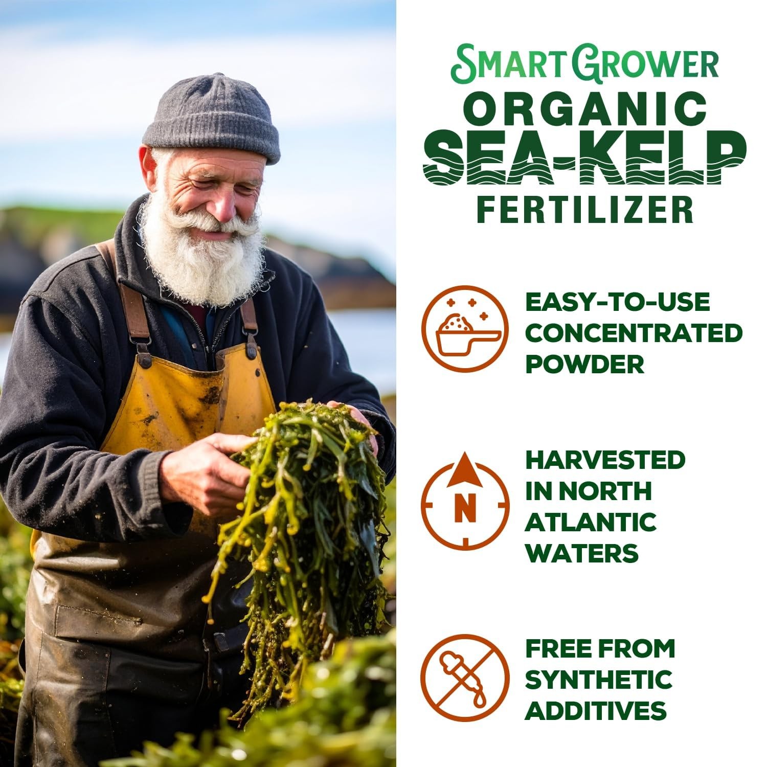 Organic Sea Kelp Fertilizer for Plants – Water-Soluble – Makes 50 2 Ounces