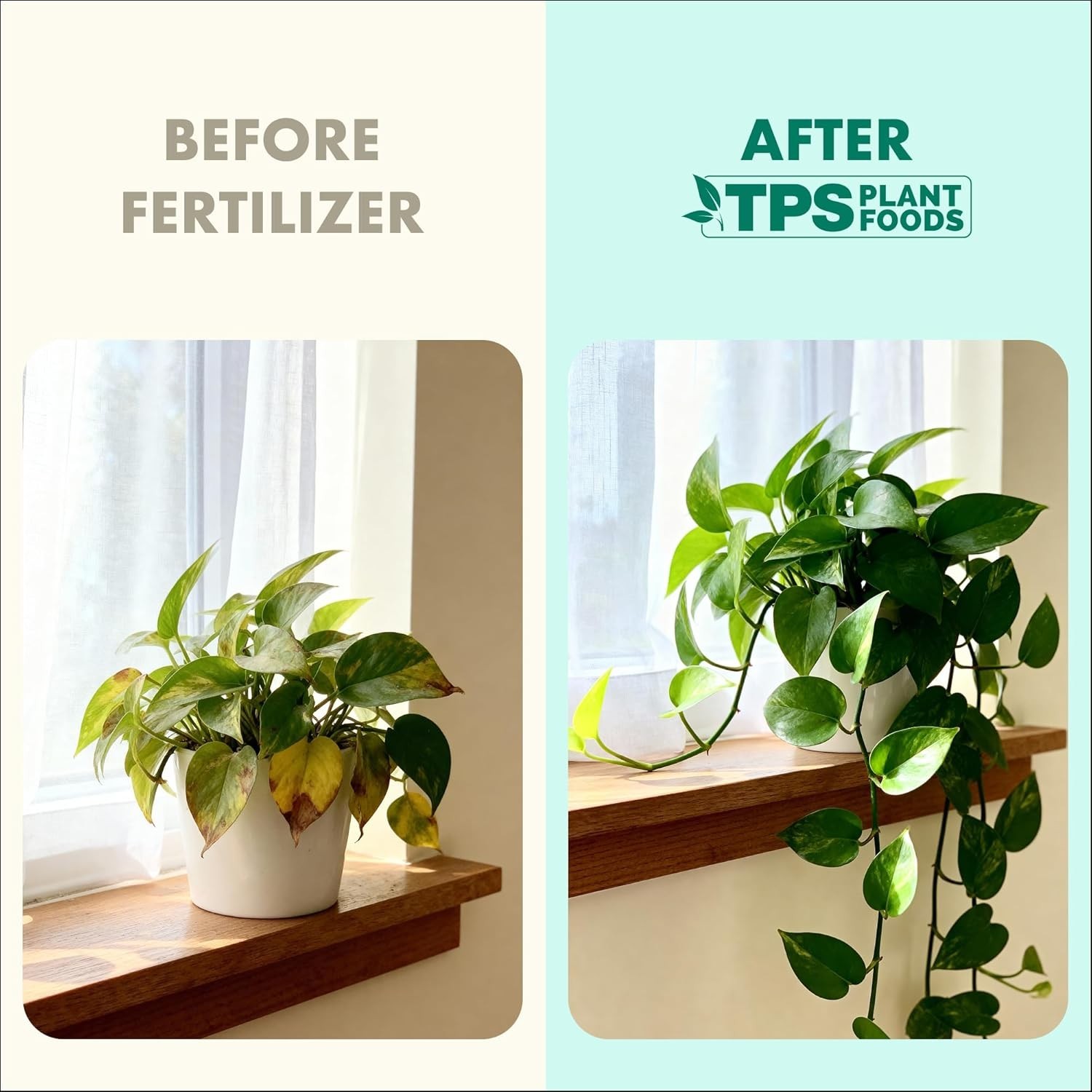 Liquid Fertilizer for Indoor Plants & Potted Houseplants – Healthy Root Support
