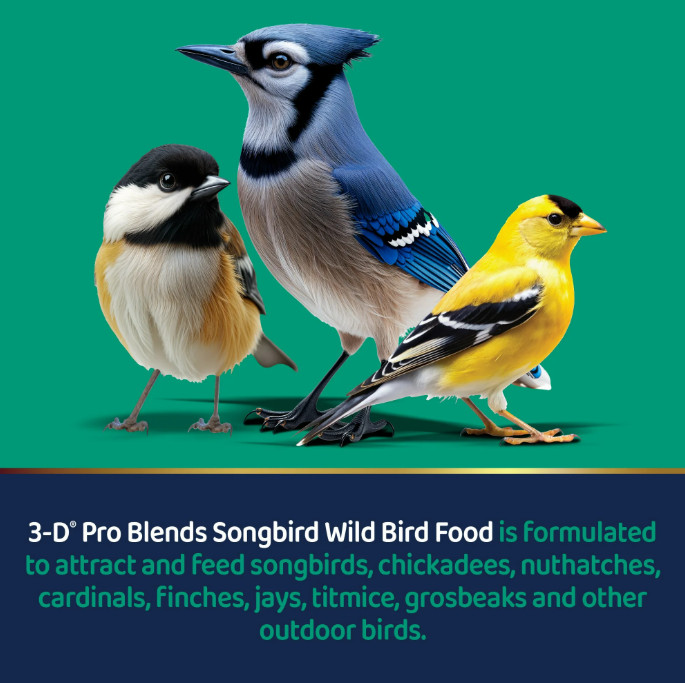 Pennington Recipe Selects Black Oil Sunflower Seed Dry Wild Bird Fool; 10 l;b
