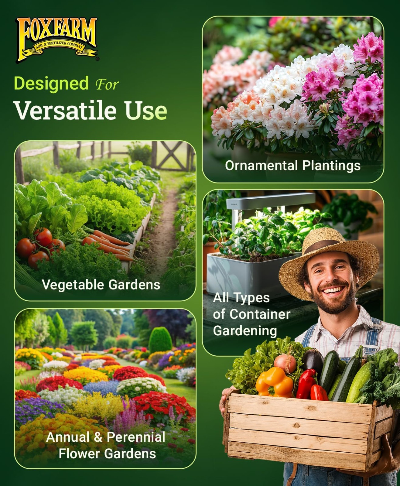 All-Purpose Slow Release Fertilizer for Flowers & Vegetables – 4 lb, Pack of 2,