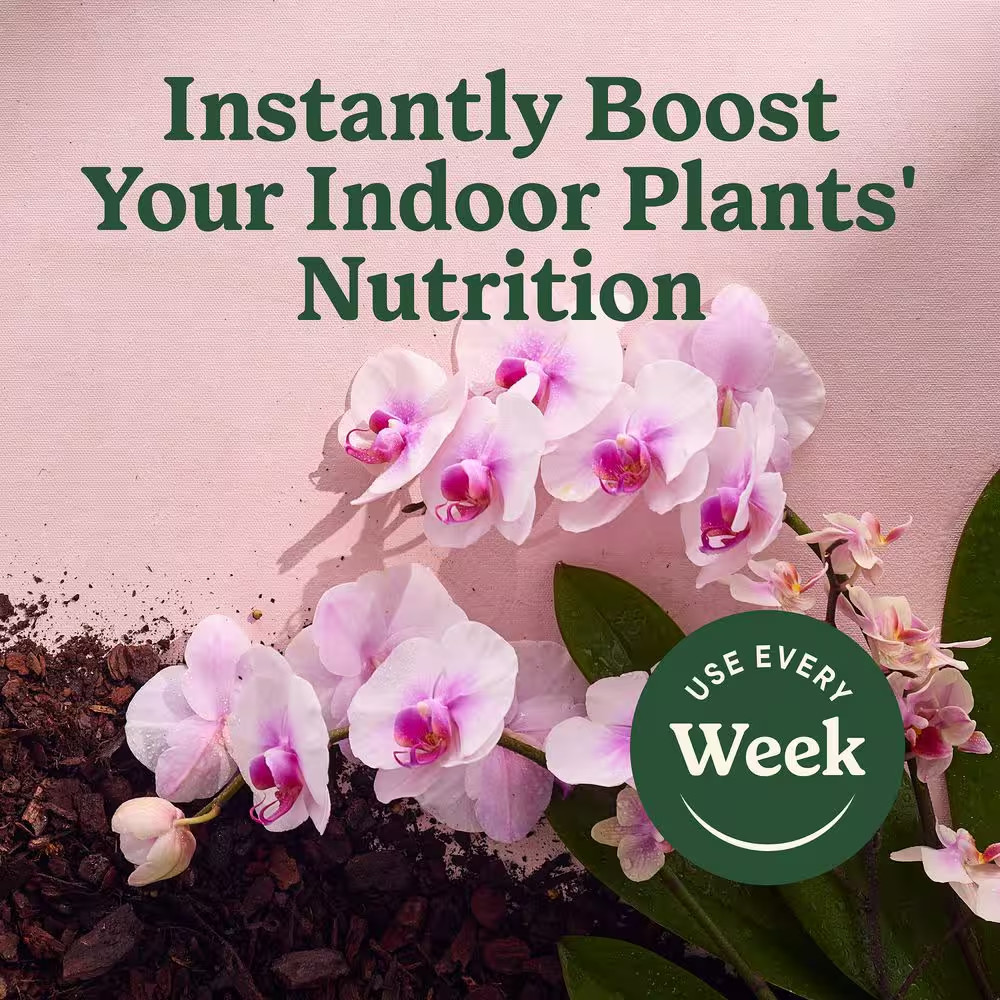 Indoor Plant Food Mist for Orchids 8 Fl. Oz. Orchid Plant Food