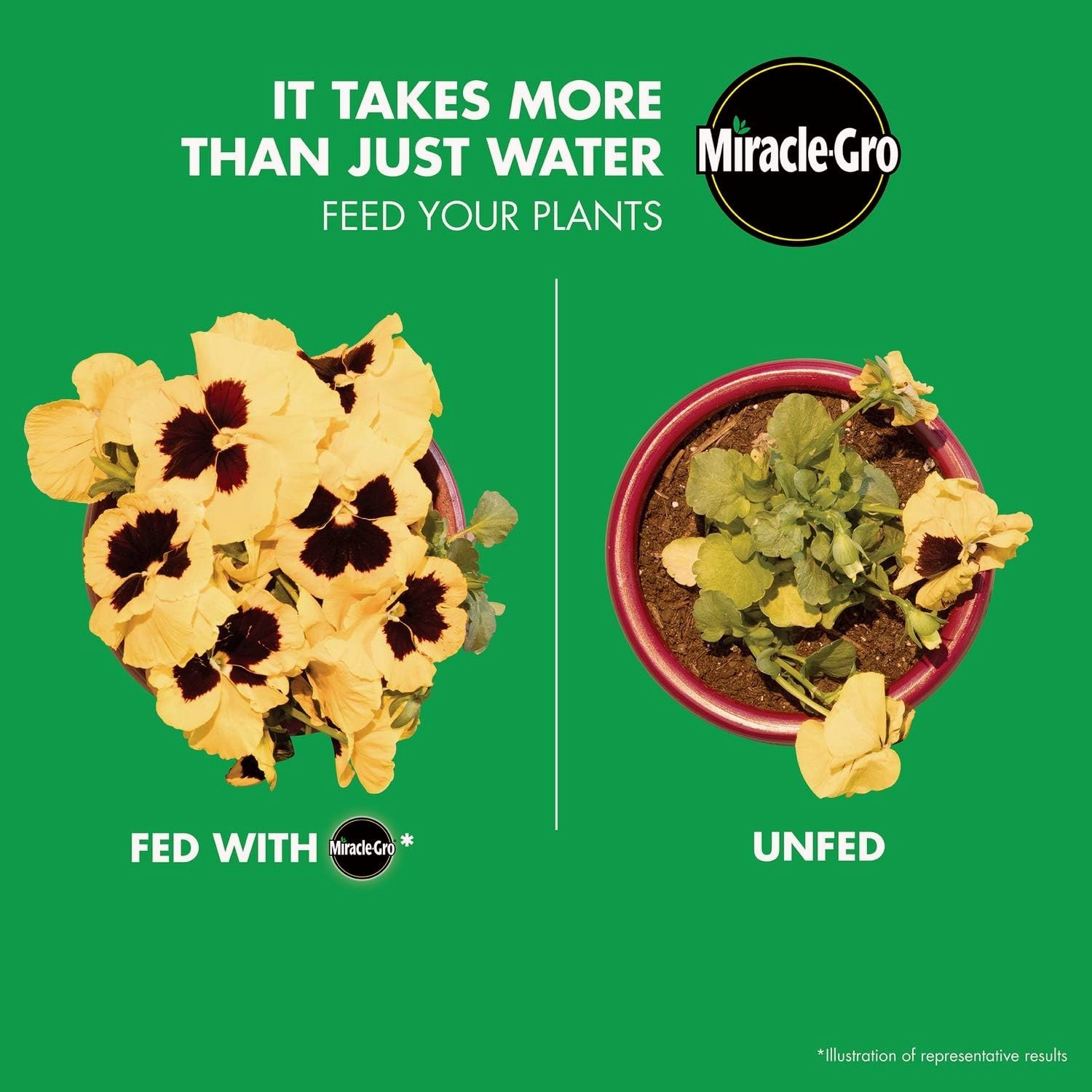 Miracle Gro Water Soluble Plant Food Fertilizer 8oz 2 Pack Indoor Outdoor Plants
