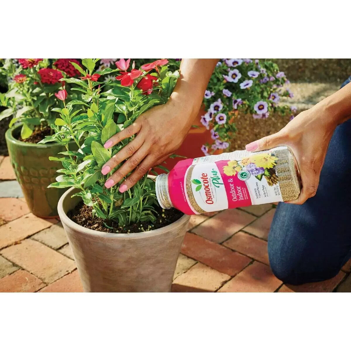 Osmocote Smart-Release Plus 2 Lb. Outdoor & Indoor Plant Food 2345012 Osmocote