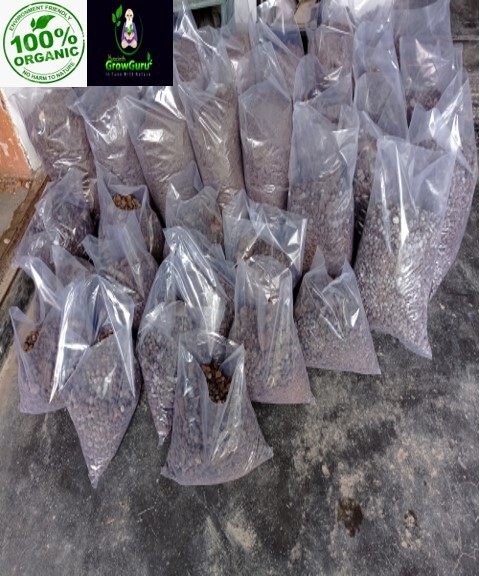 锡兰山羊粪便(Elu Pohora)200克天然纯有机肥料山羊粪-