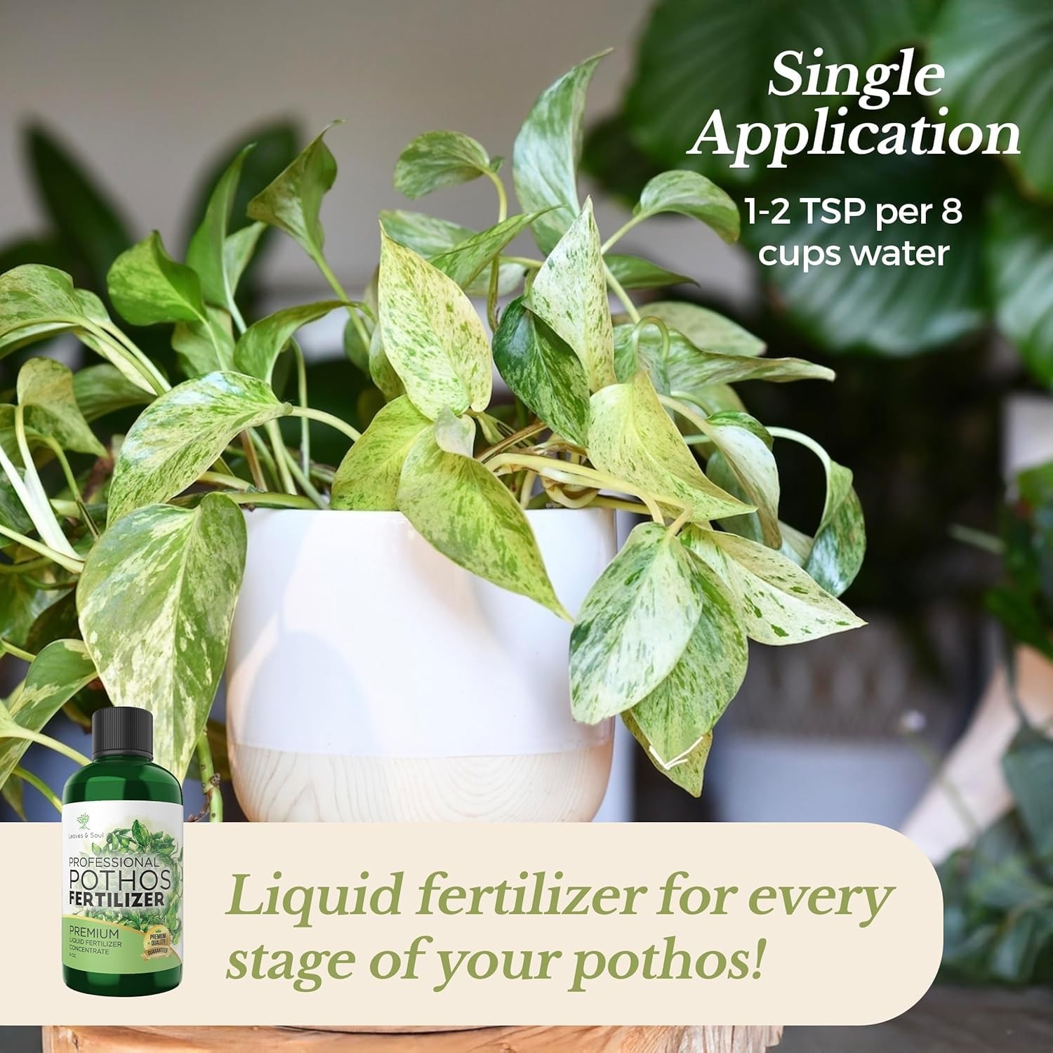 Professional Pothos Fertilizer Liquid 3-1-2 Concentrate 8 oz, Premium Plant F…