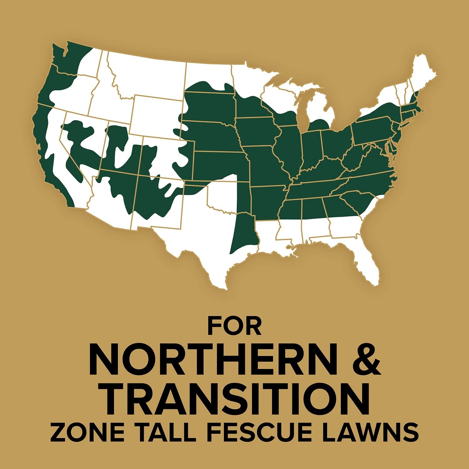 20 lb Grass Seed & Fertilizer Mix for Tall Fescue Lawns – Patch & Repair Bare Sp