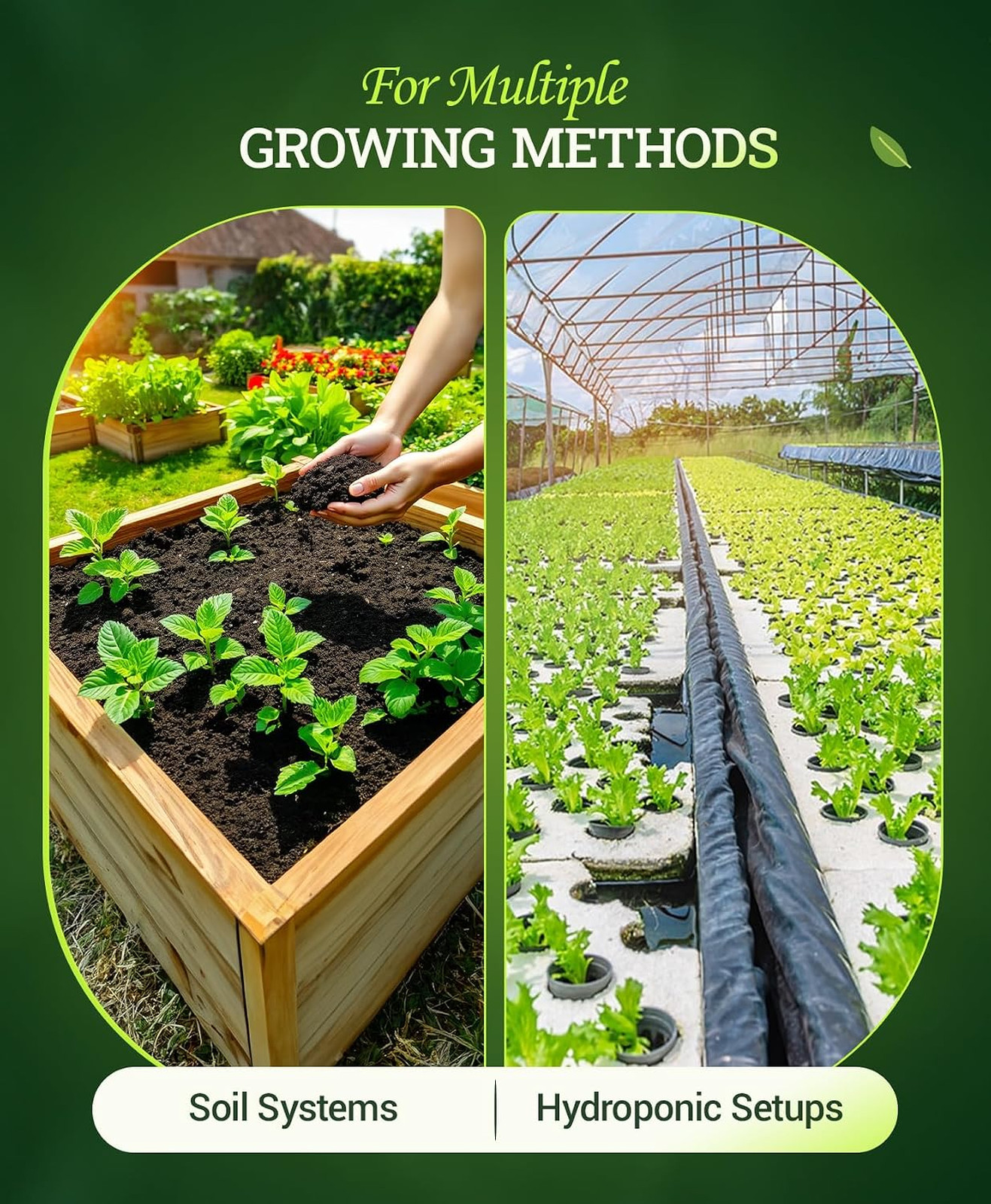 Liquid Plant Food Fertilizer 2-8-4 for Buds Blooms Flowers Supports Soil