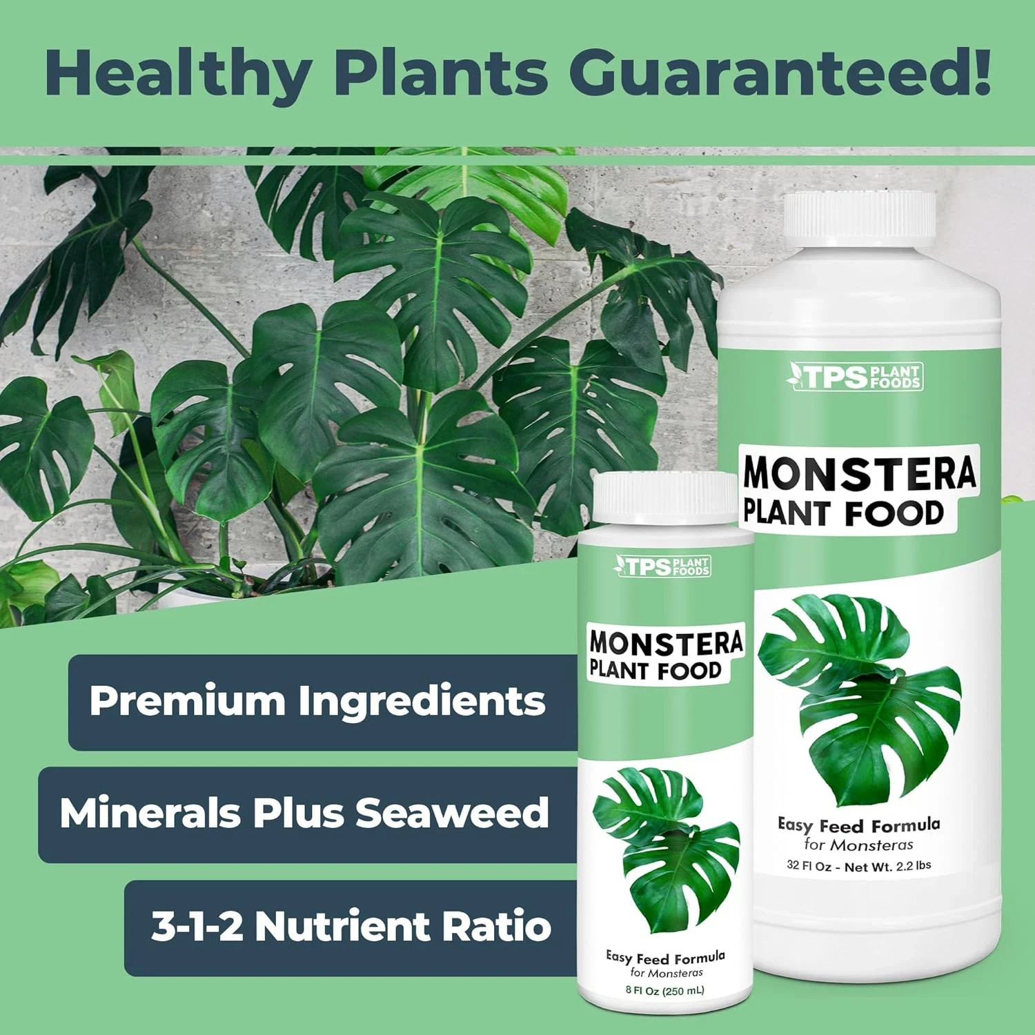 Monstera Plant Food for Monsteras and Philodendrons, Tropical Houseplant FOOD