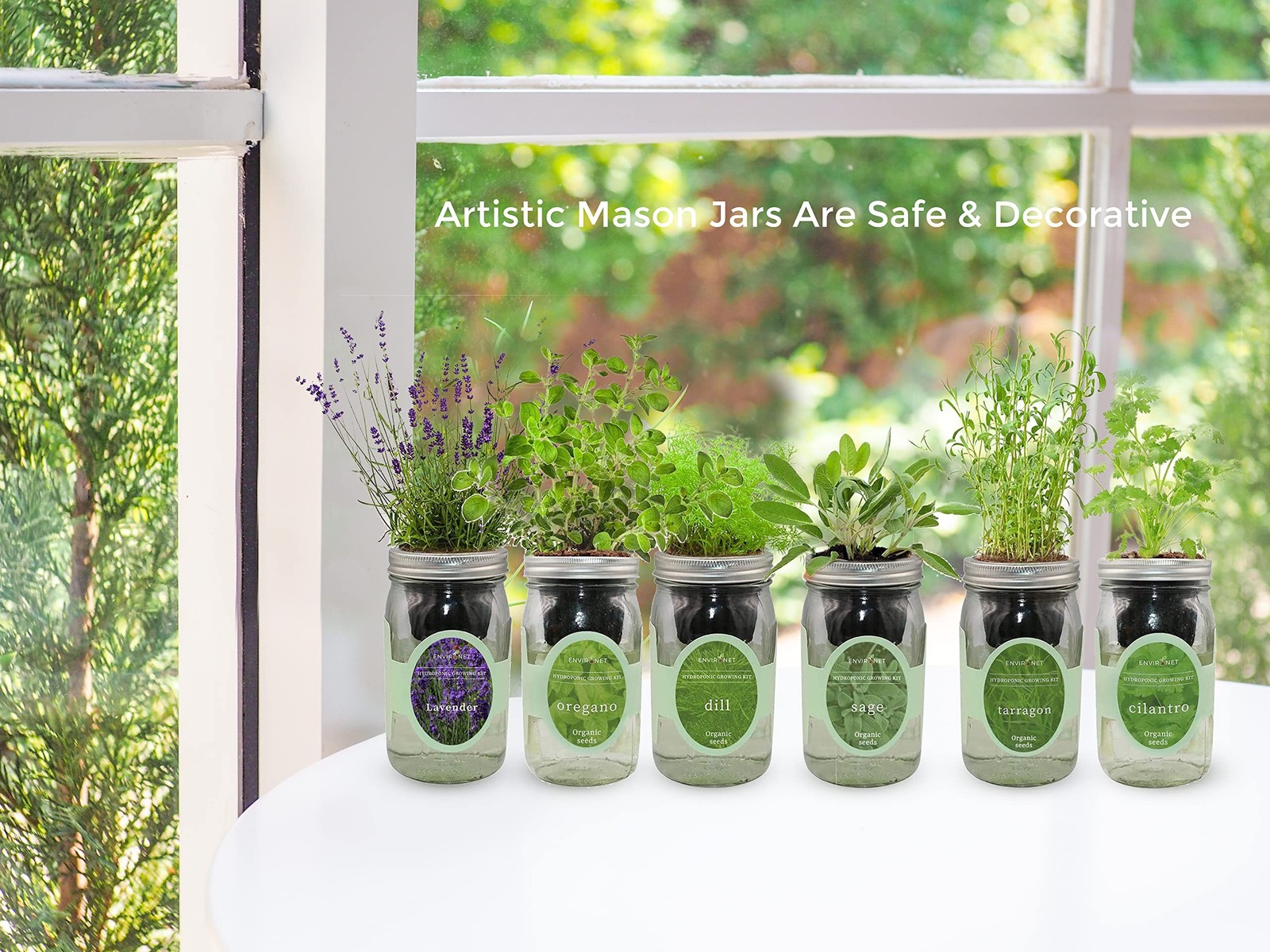 Hydroponic Herb Growing Kit Set, Self-Watering Mason Jar Herb Garden Starter …