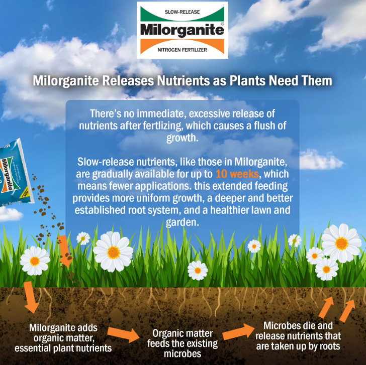 NEW Milorganite Long Lasting All Purpose Lawn Food, 6-4-0 Fertilizer,32 lb – 2P