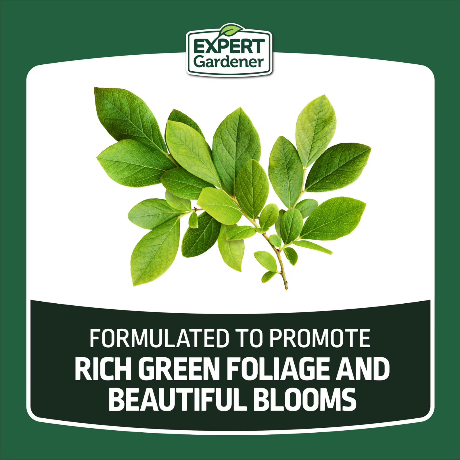 Expert Gardener Evergreen Tree Shrub Fertilizer 4 lb (Pack of 2) 16-4-8 Food