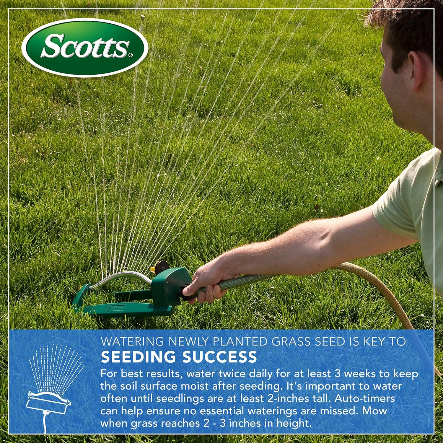 Scotts Turf Builder Thick’R Lawn Tall Fescue Mix, 40 Lbs. | Combination Grass Se