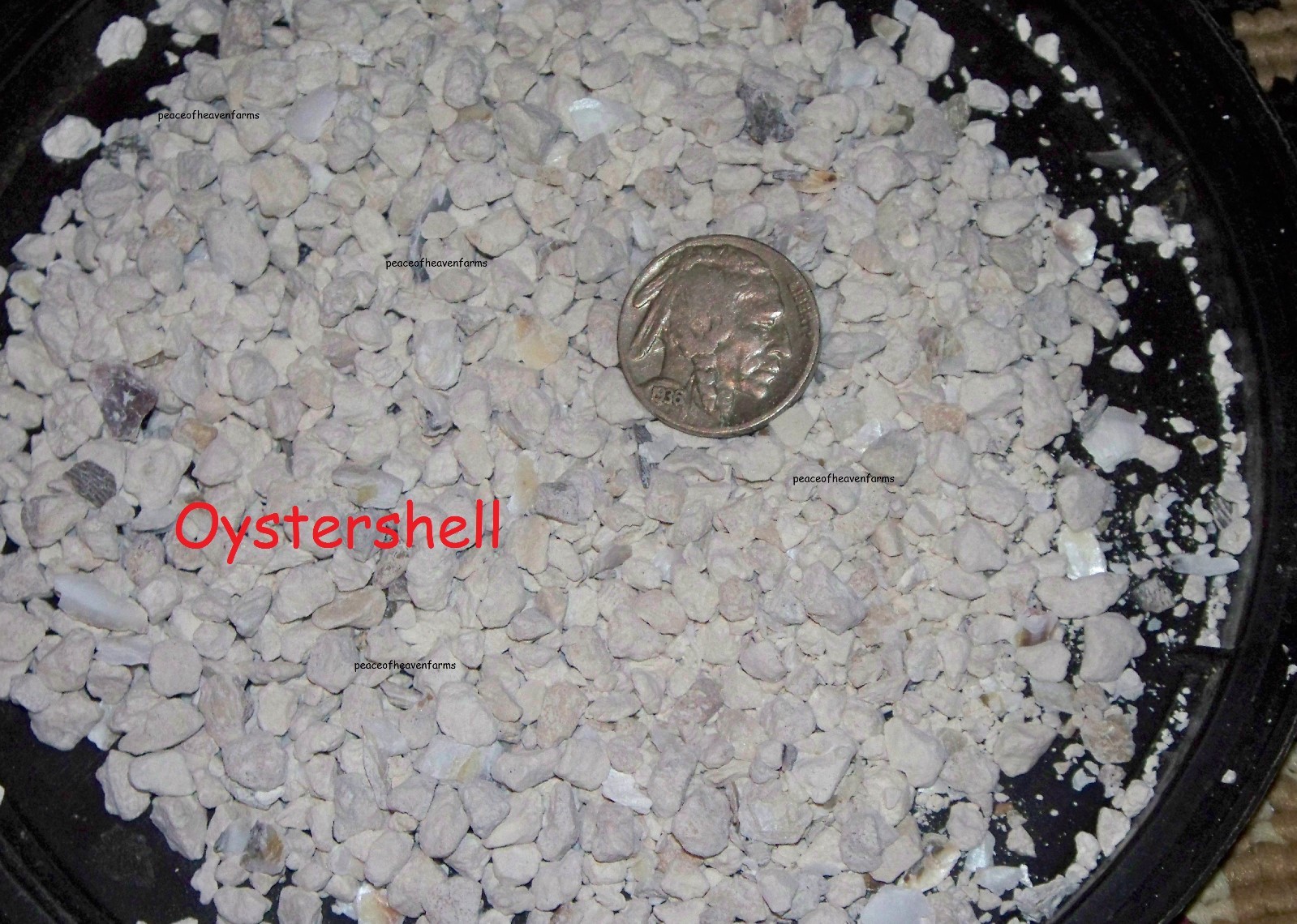 Choose your size OYSTER SHELL for Soil Calcium Amendment and Poultry Supplement