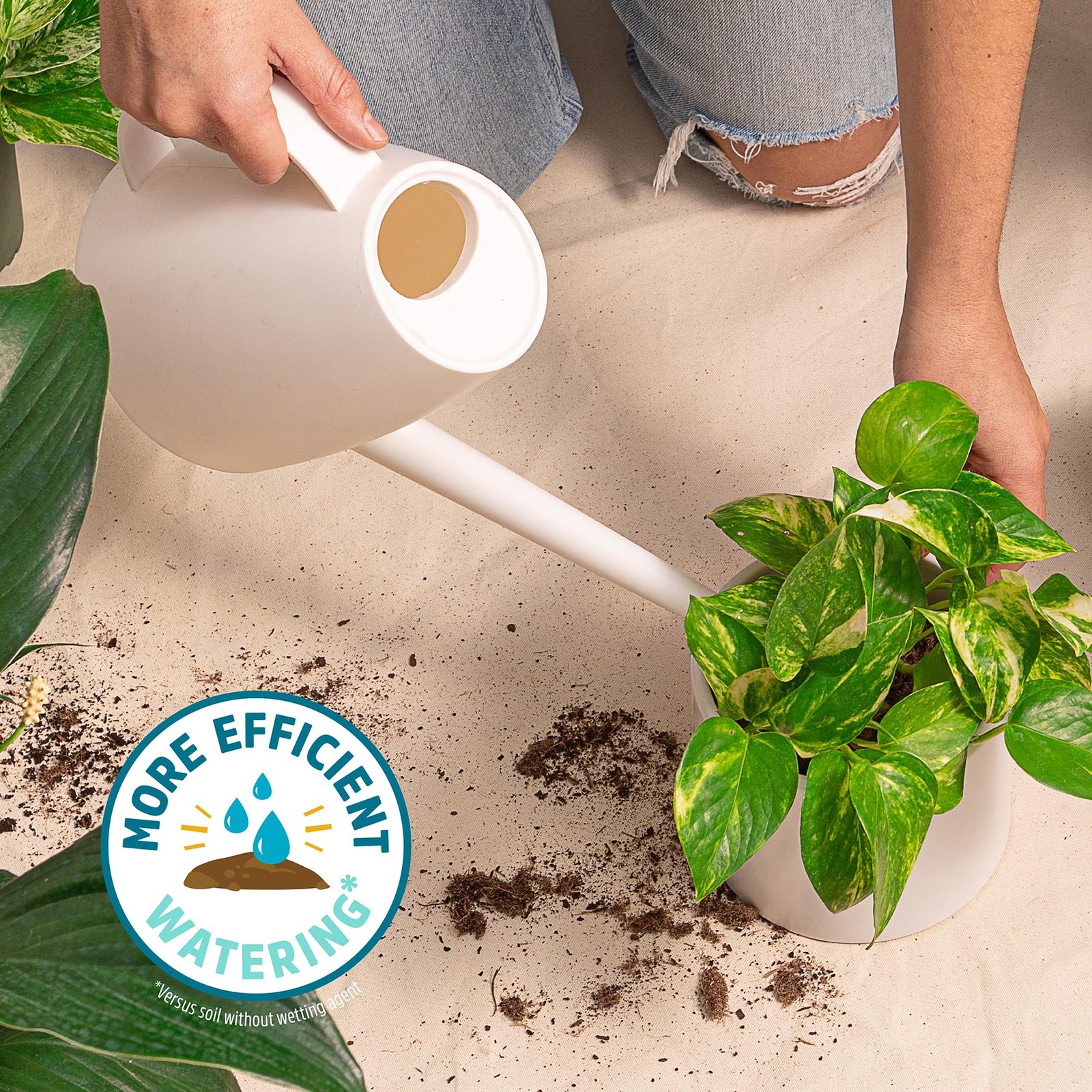Back to the Roots 100% Organic Indoor Potting Mix (6 Quart, Soil