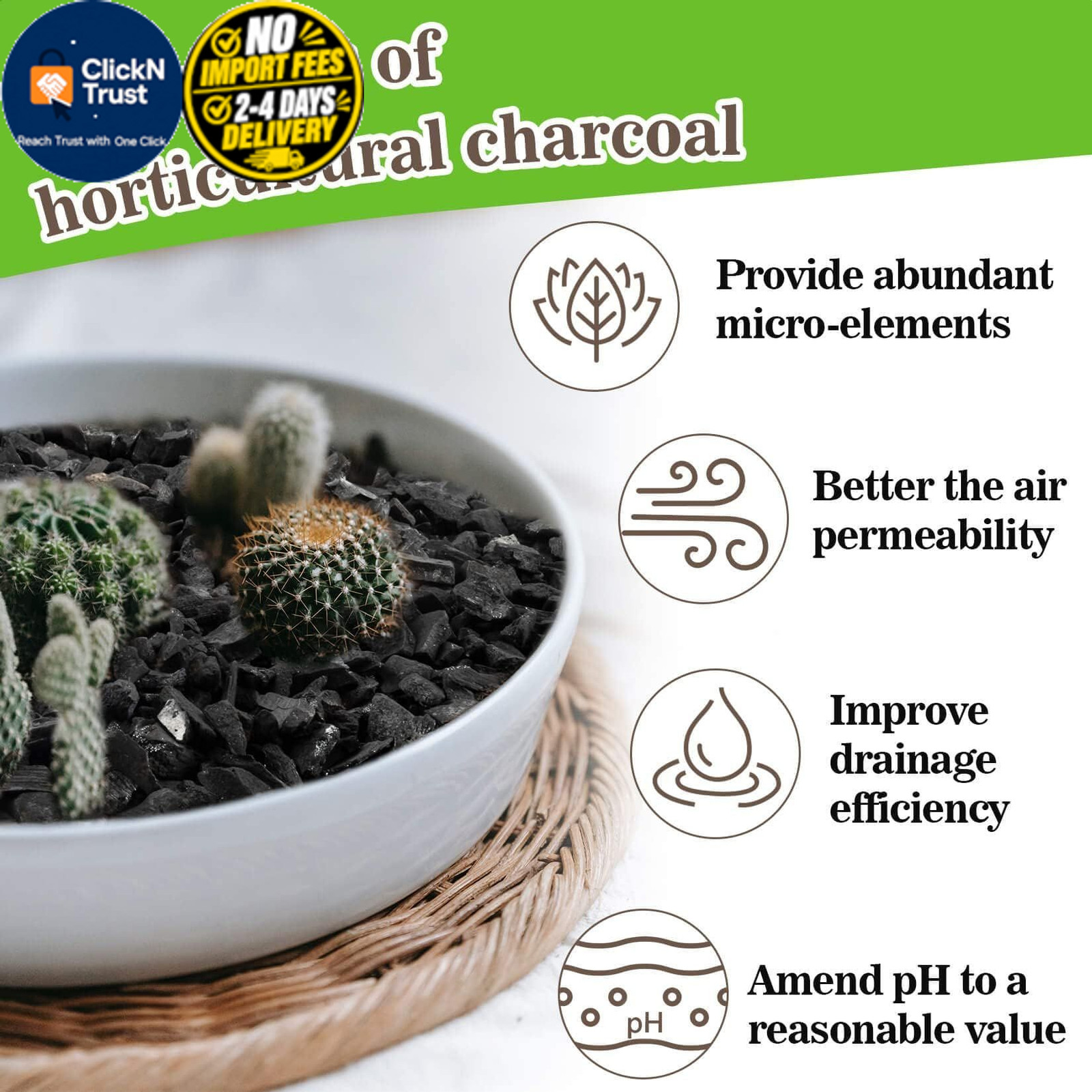 RAINFLOW Horticultural Charcoal for Plants – 290G Natural Earth Regulated…