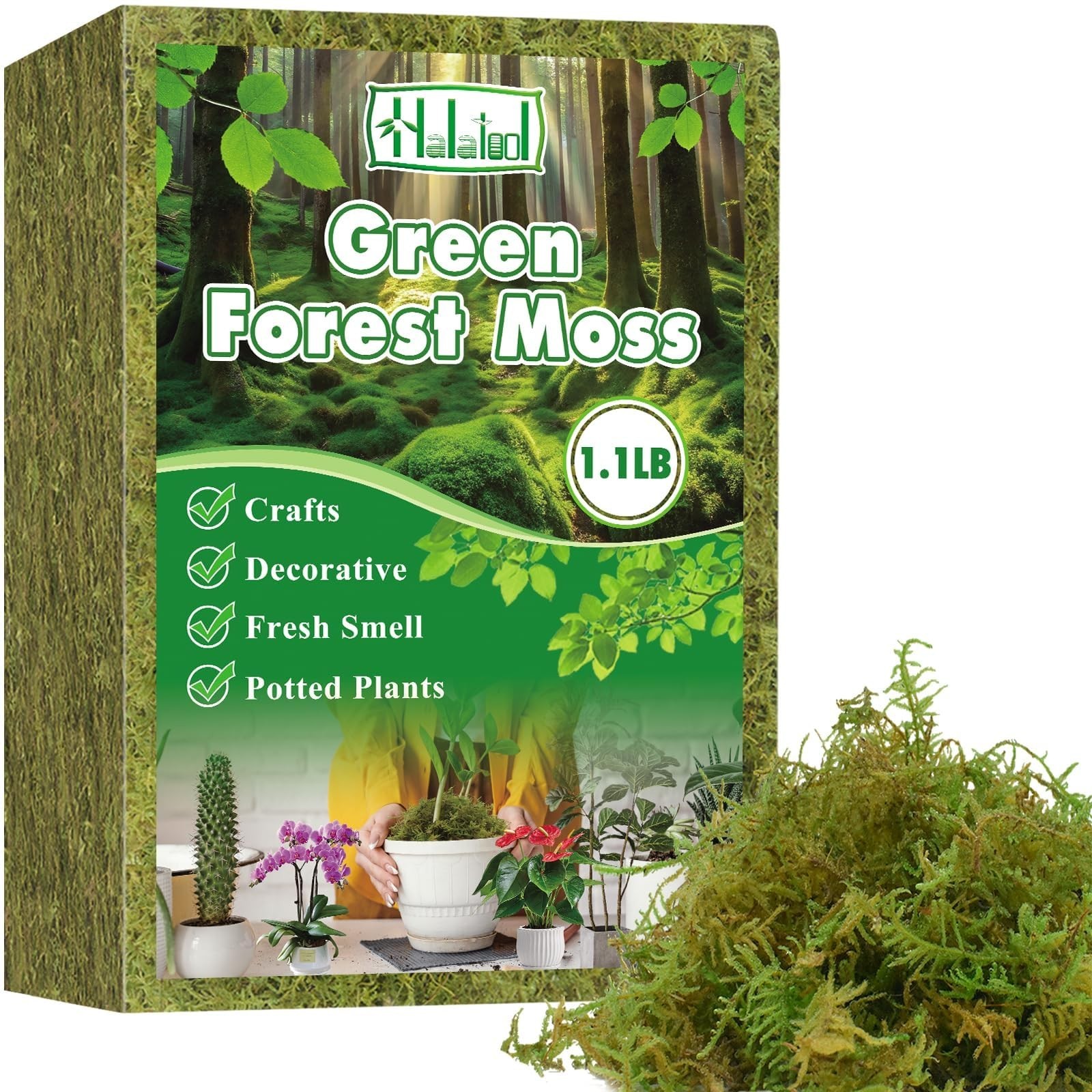 Halatool 1.1LB Green Moss for Potted Plants, 25QT Orchid Moss Potting Mix, Fo…