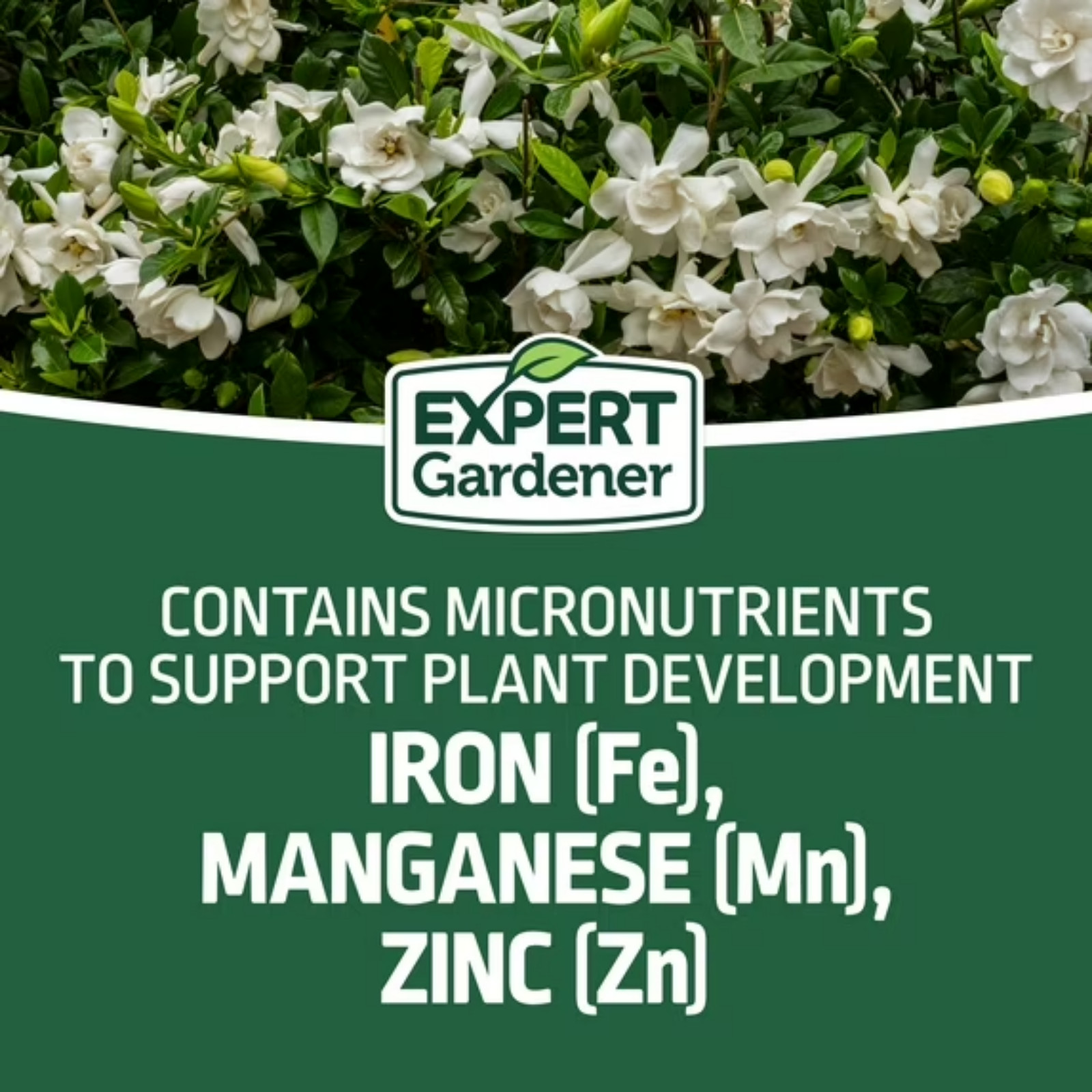 Expert Gardener Evergreen Tree Shrub Fertilizer 4 lb (Pack of 2) 16-4-8 Food