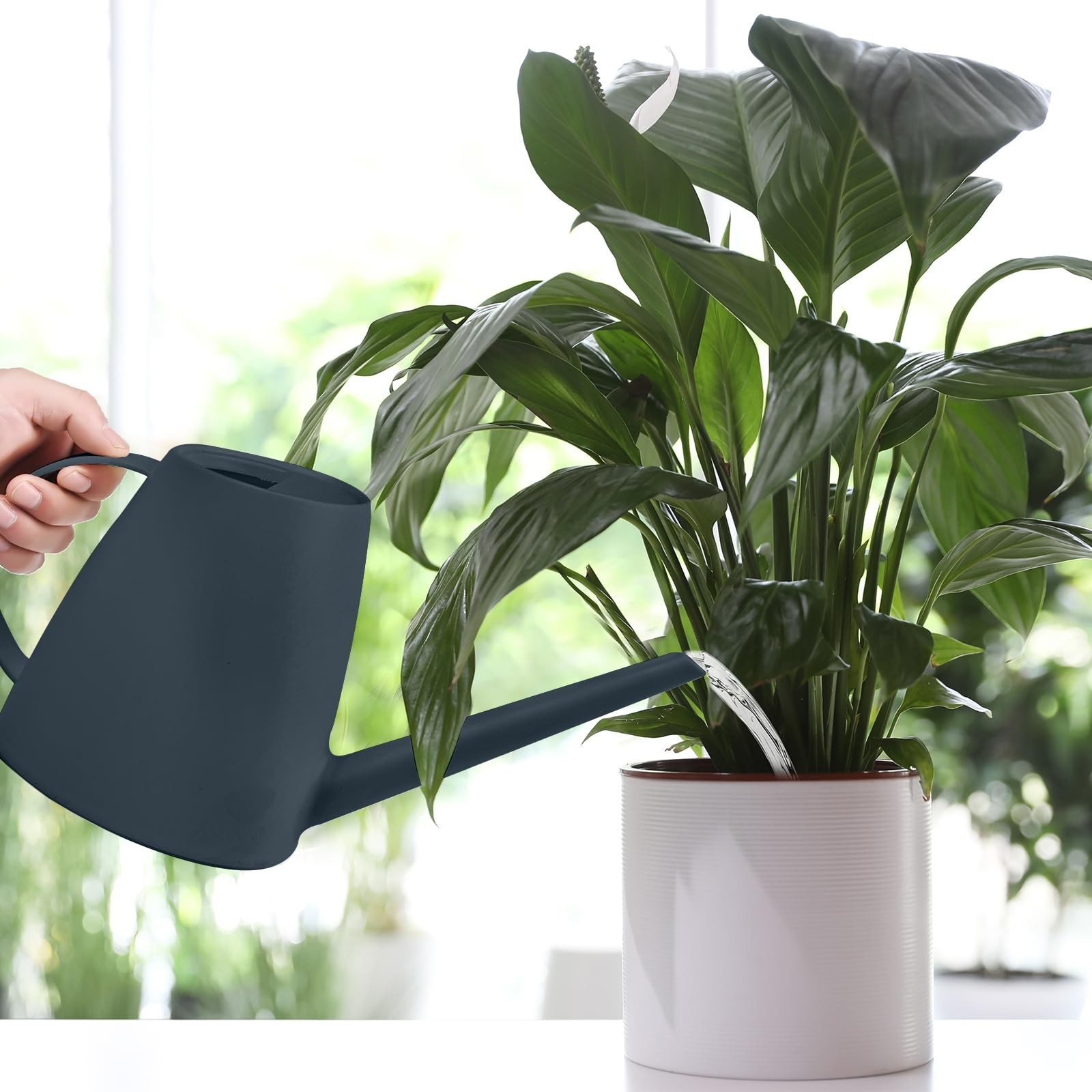 Watering Can – for Indoor and Outdoor House Plant Garden – with Long Spout – …