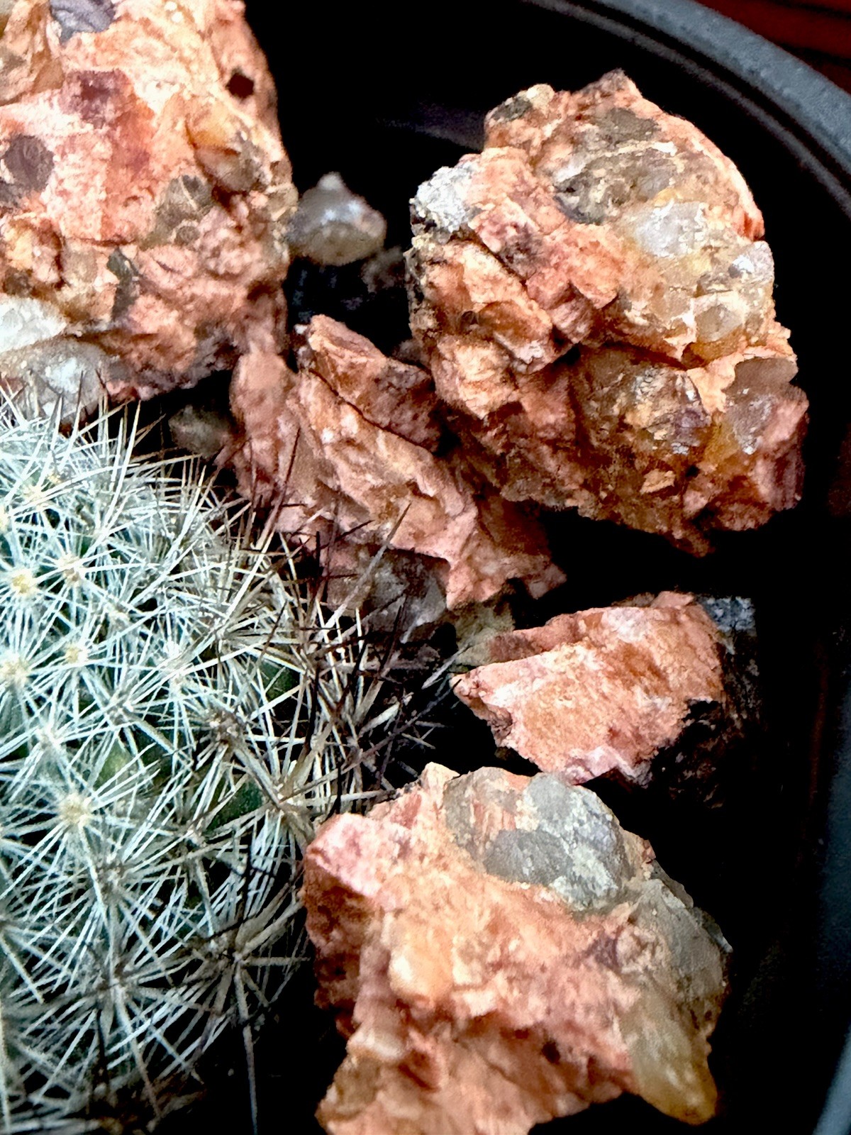 Crushed Rock For Cacti Mountain Cactus Raw Host Rock For Native Spps Blend 3LB