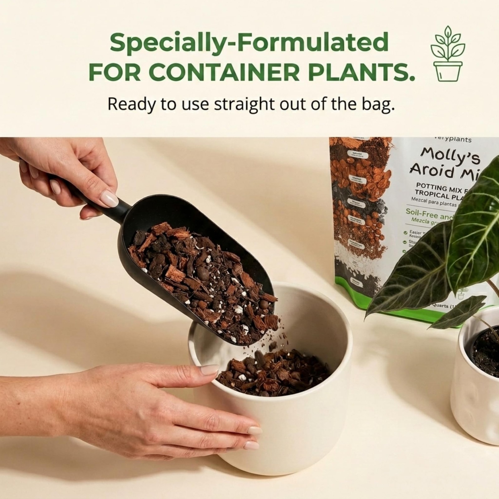 Molly’s Aroid Potting Mix, Chunky Soil-Free for Indoor Plants 10 Dry Quarts |…
