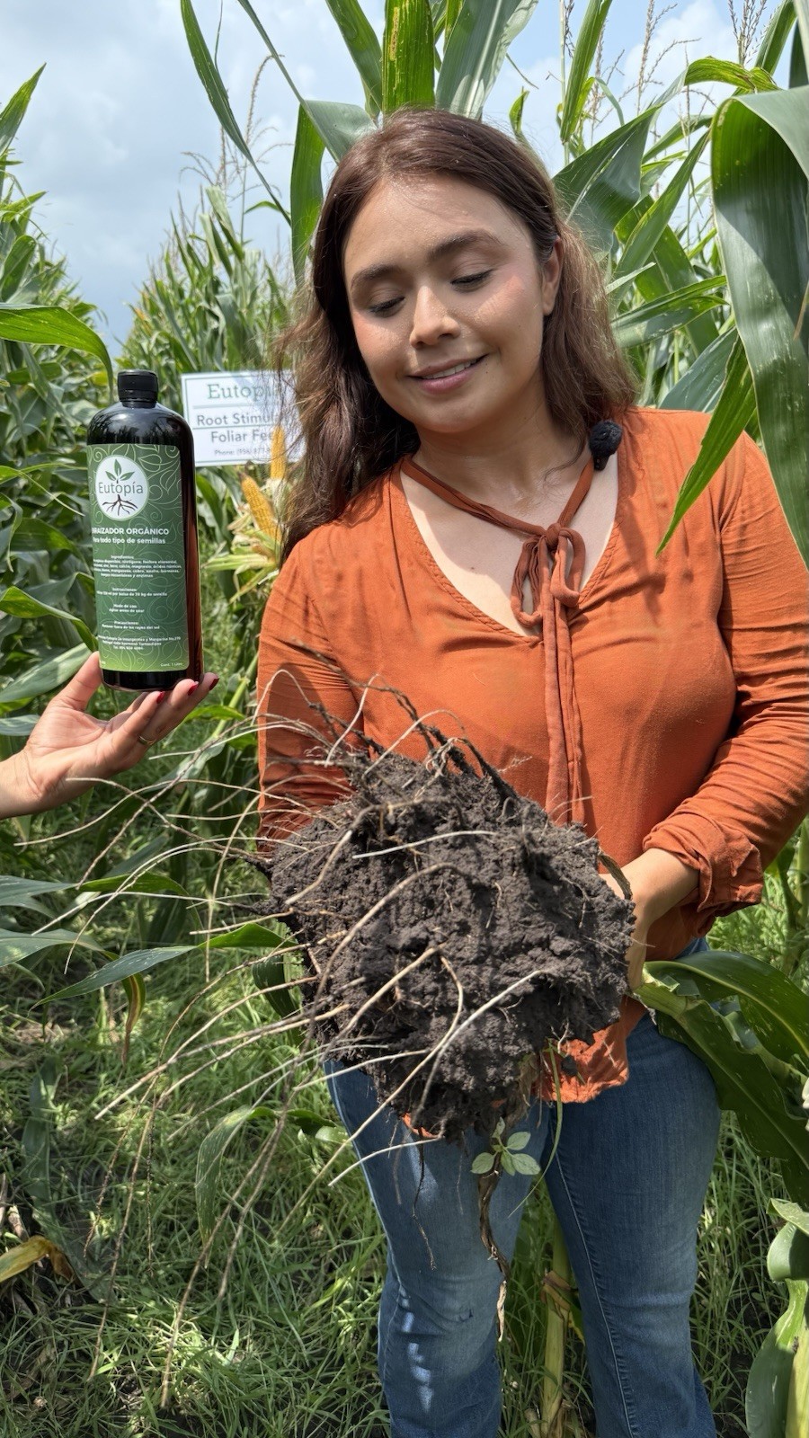 Root Stimulant for Corn Sorghum Cotton Sesame Ocra Vegetables Chía New 32oz