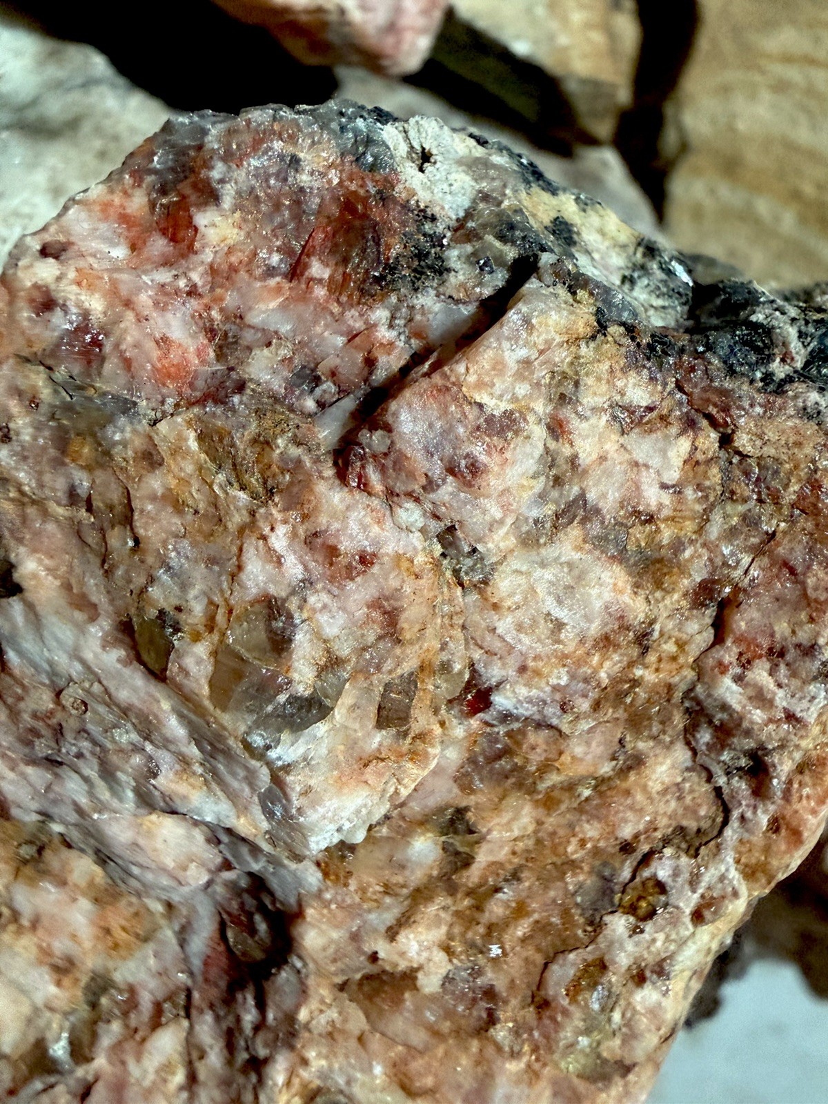 Crushed Rock For Cacti Mountain Cactus Raw Host Rock For Native Spps Blend 3LB
