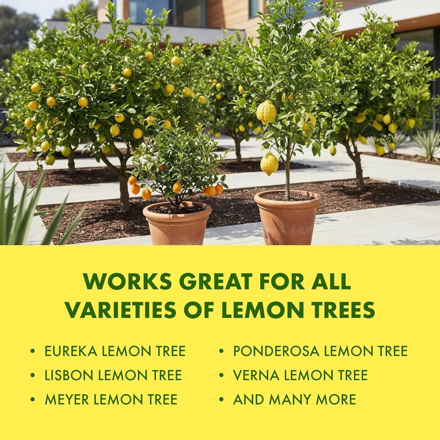 8 oz Liquid Lemon Tree Fertilizer for Vibrant Growth & Abundant Fruit