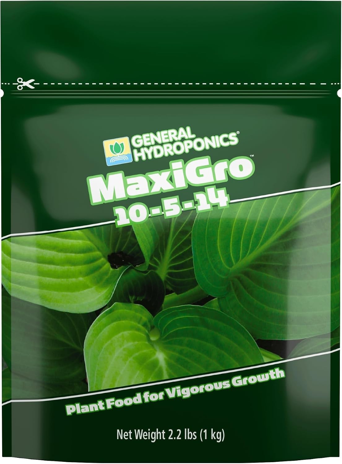 MaxiGro Plant Food for Vigorous Growth, 2.2 lbs.