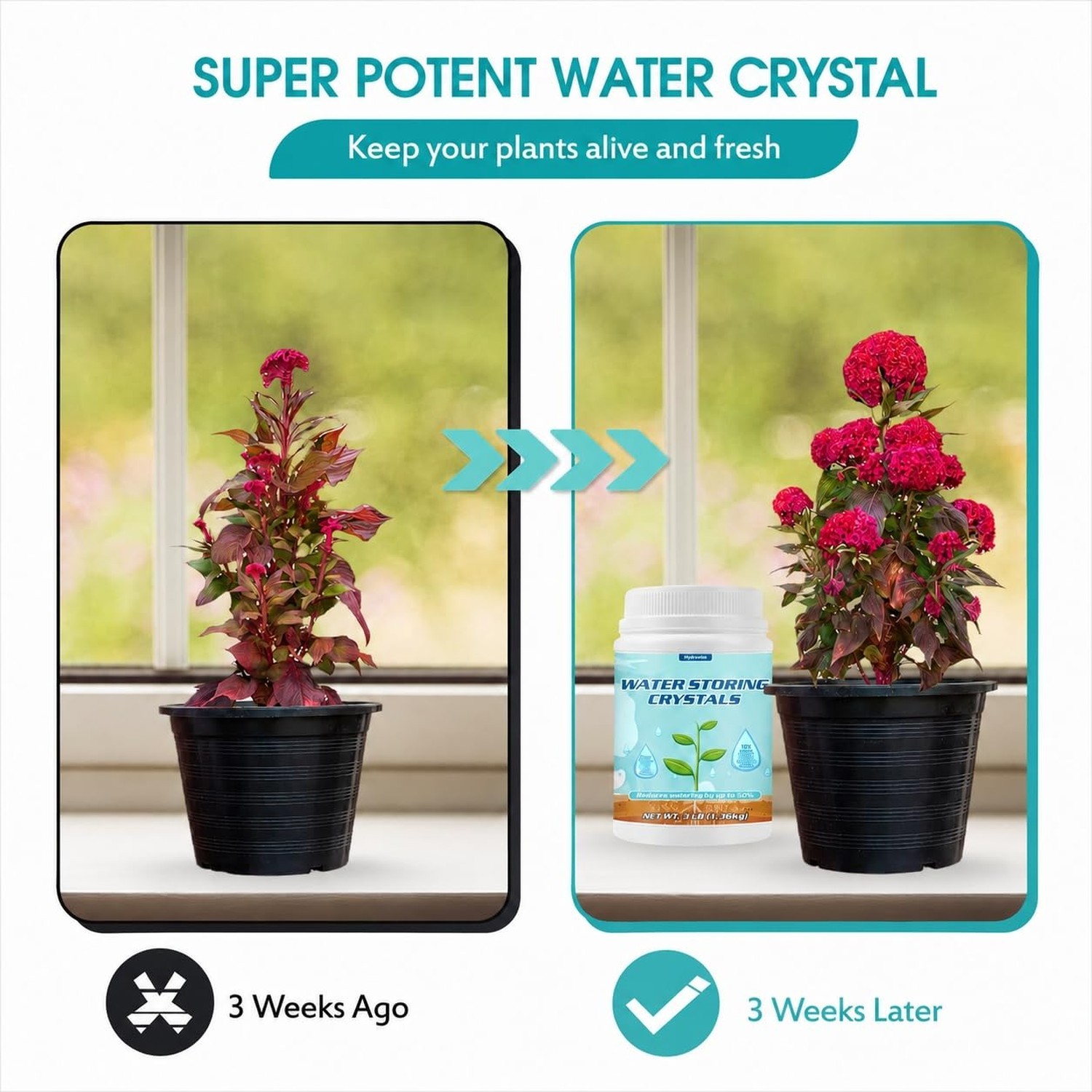 Water Storing Crystals for Plants, Keeps Soil Moist, 5LB, Fine | Soil Moistur…