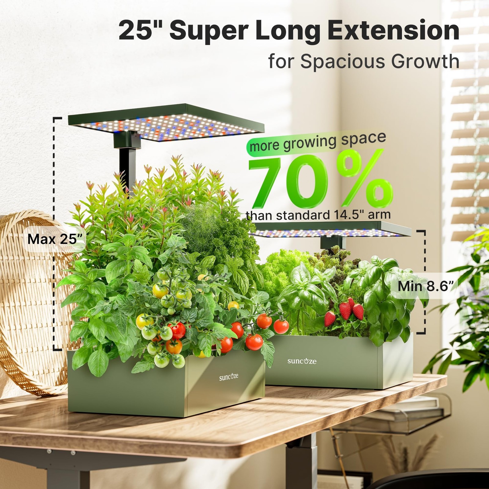 SUNCOZE 20 Pods Hydroponics Growing System Kit, Indoor Herb Garden with Grow …