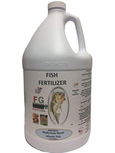 Fishing Glass Organic North Atlantic Fish Fertilizer (1 Gallon)