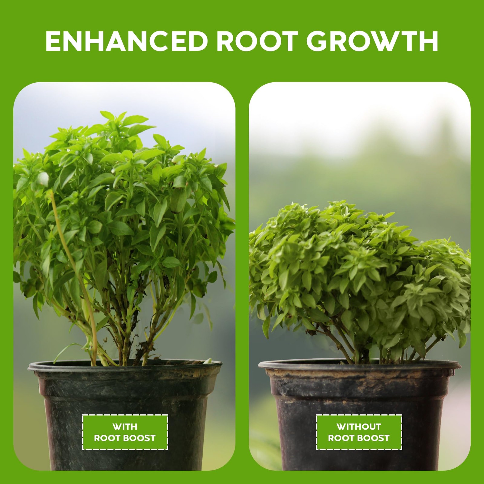 Probiotic Root Boost Water Soluble Powder for Established Plants and Transpla…