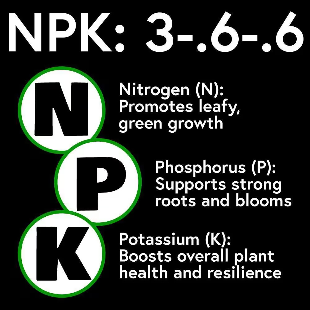 Mix and Feed All Purpose Plant Food Ready to Spray Hose End