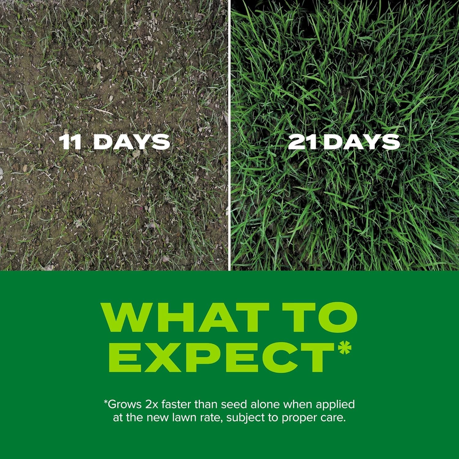 Scotts Turf Builder Rapid Grass Tall Fescue Mix Seed Fertilizer