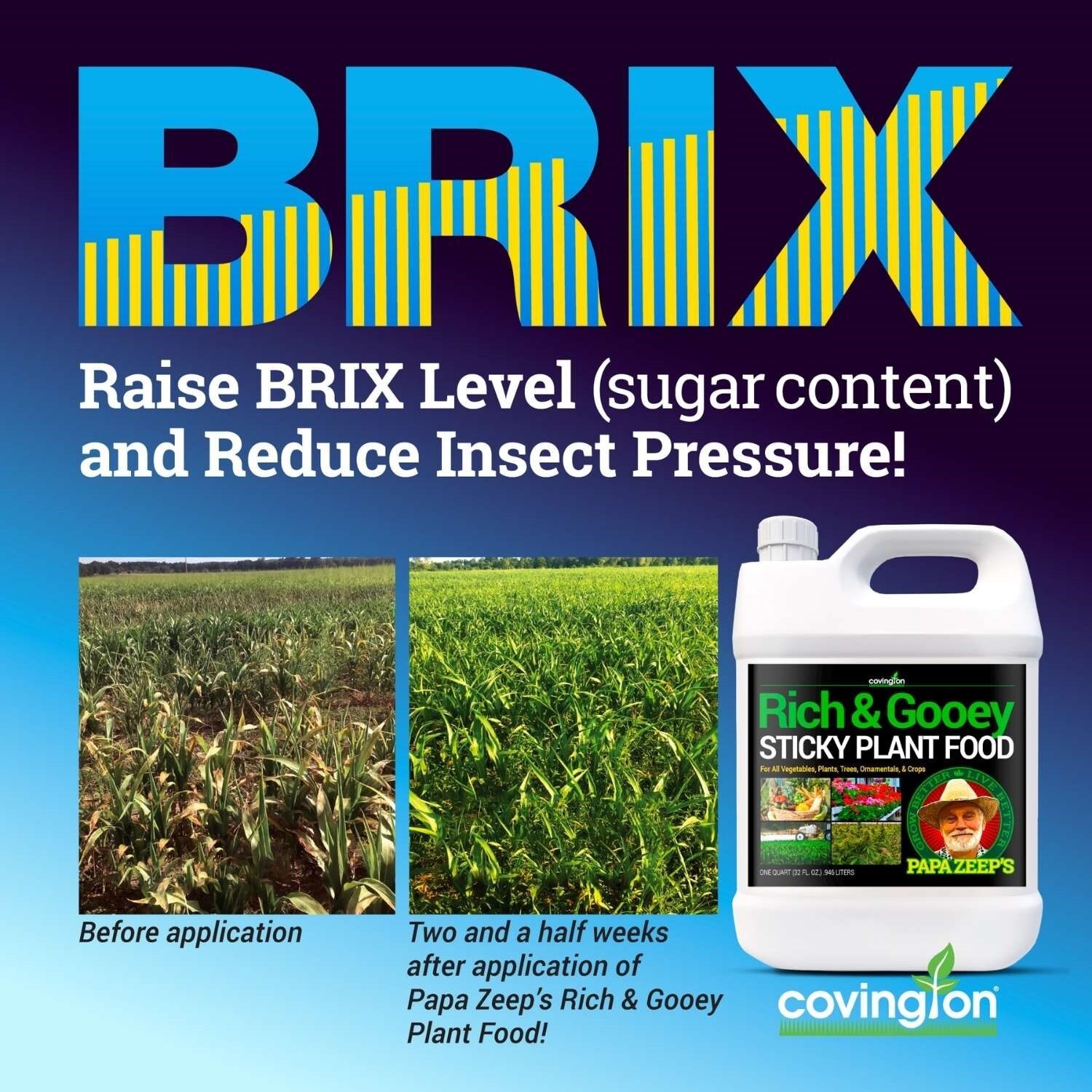 Covington Rich and Gooey Sticky Plant Food 32 OZ / 1 QUART